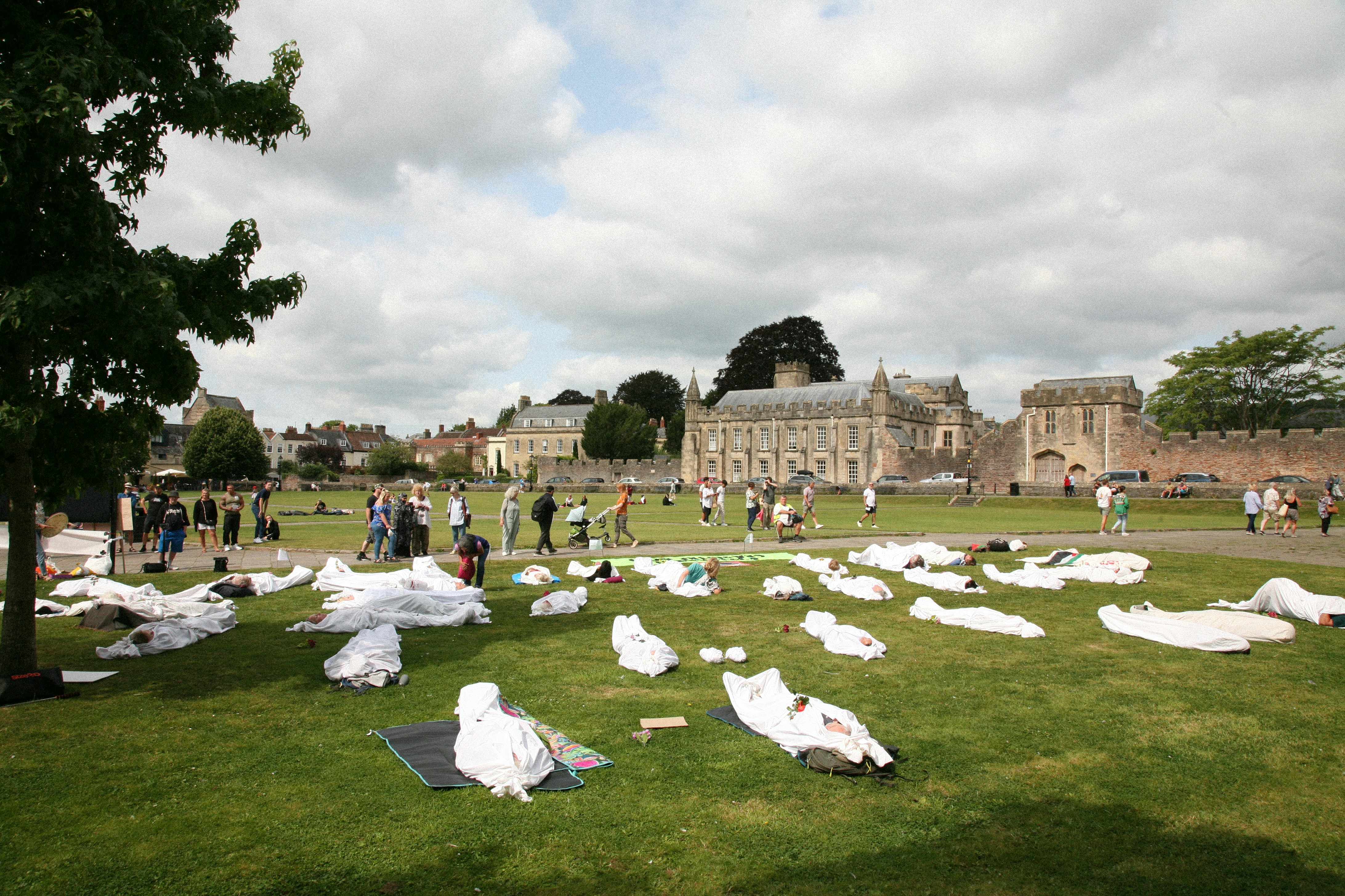 A group of people laying on the ground in a field