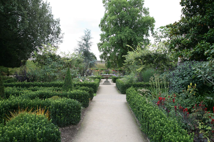A clipped garden path lined with hedges and flowering plants