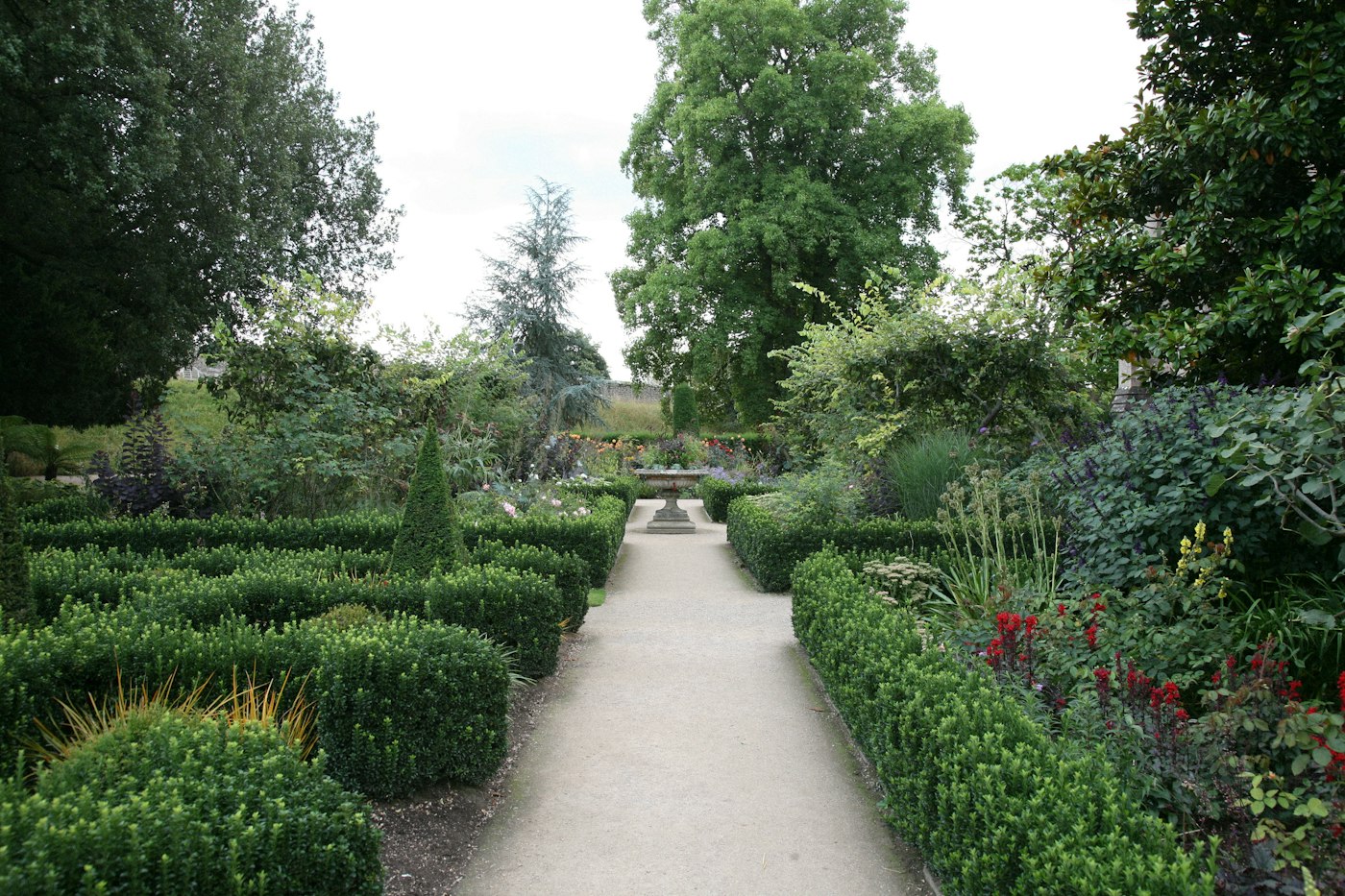 Garden lined with hedges made from fast growing privacy shrubs
