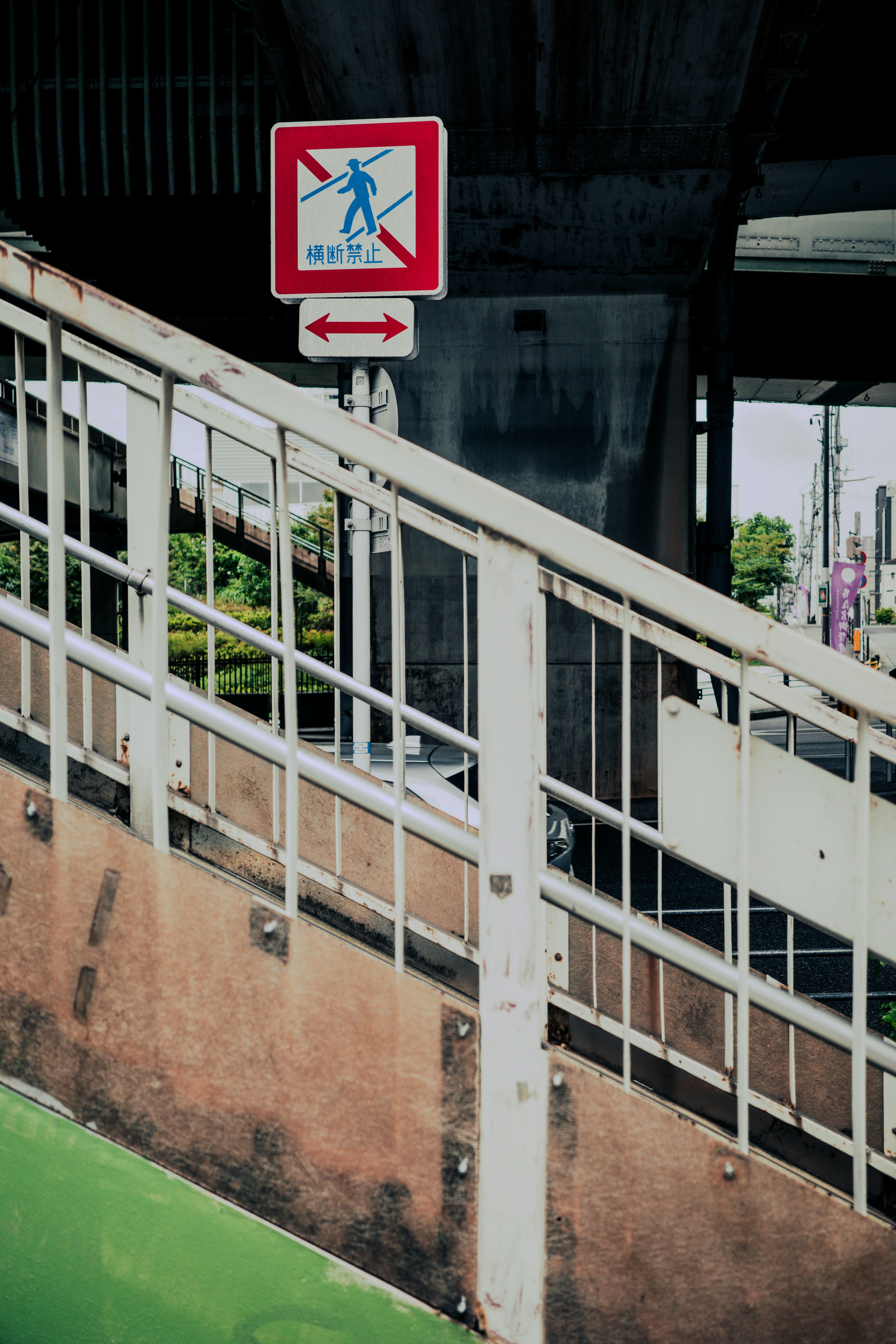 Photo by jackyfish_image