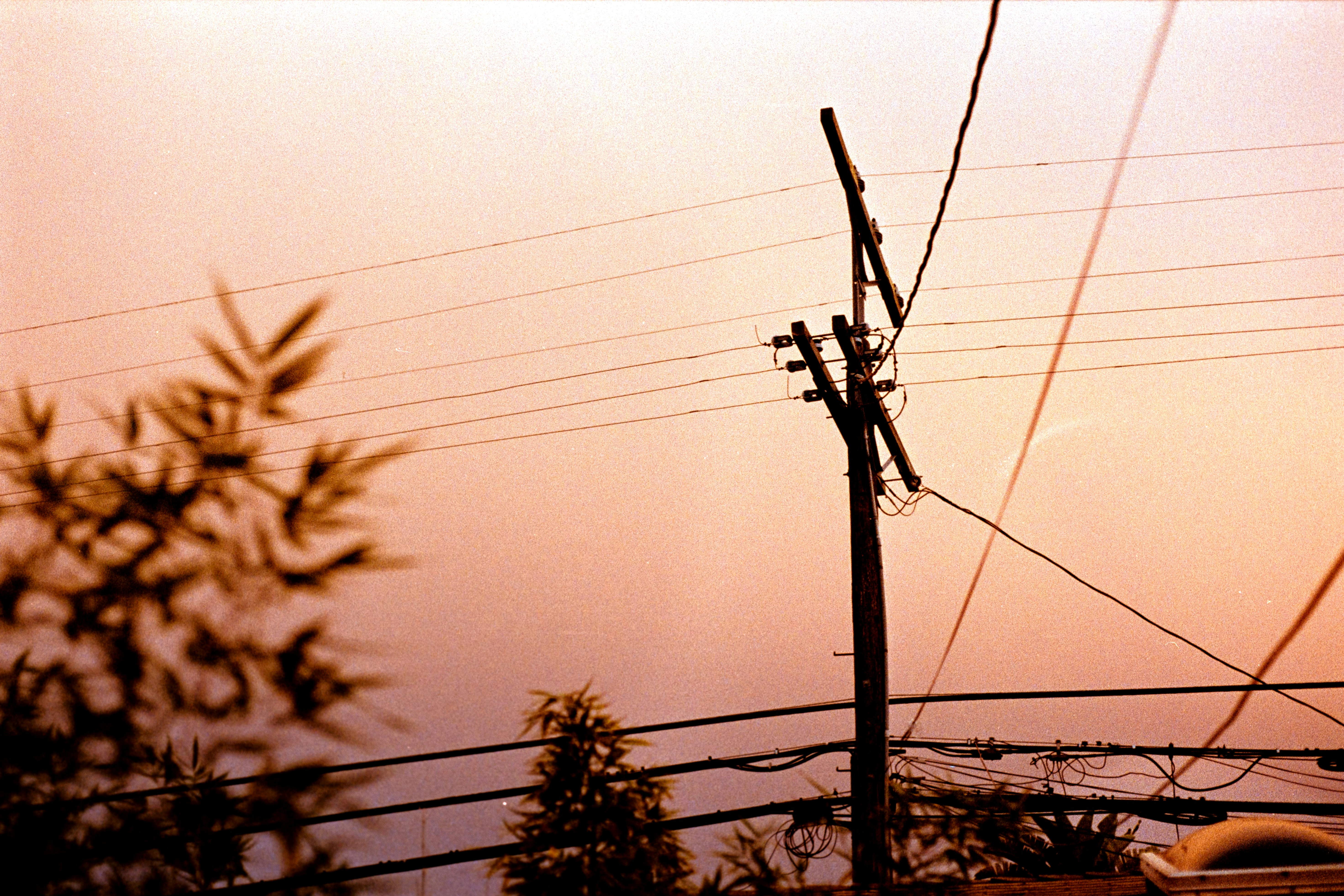 Photo by sashamatveeva