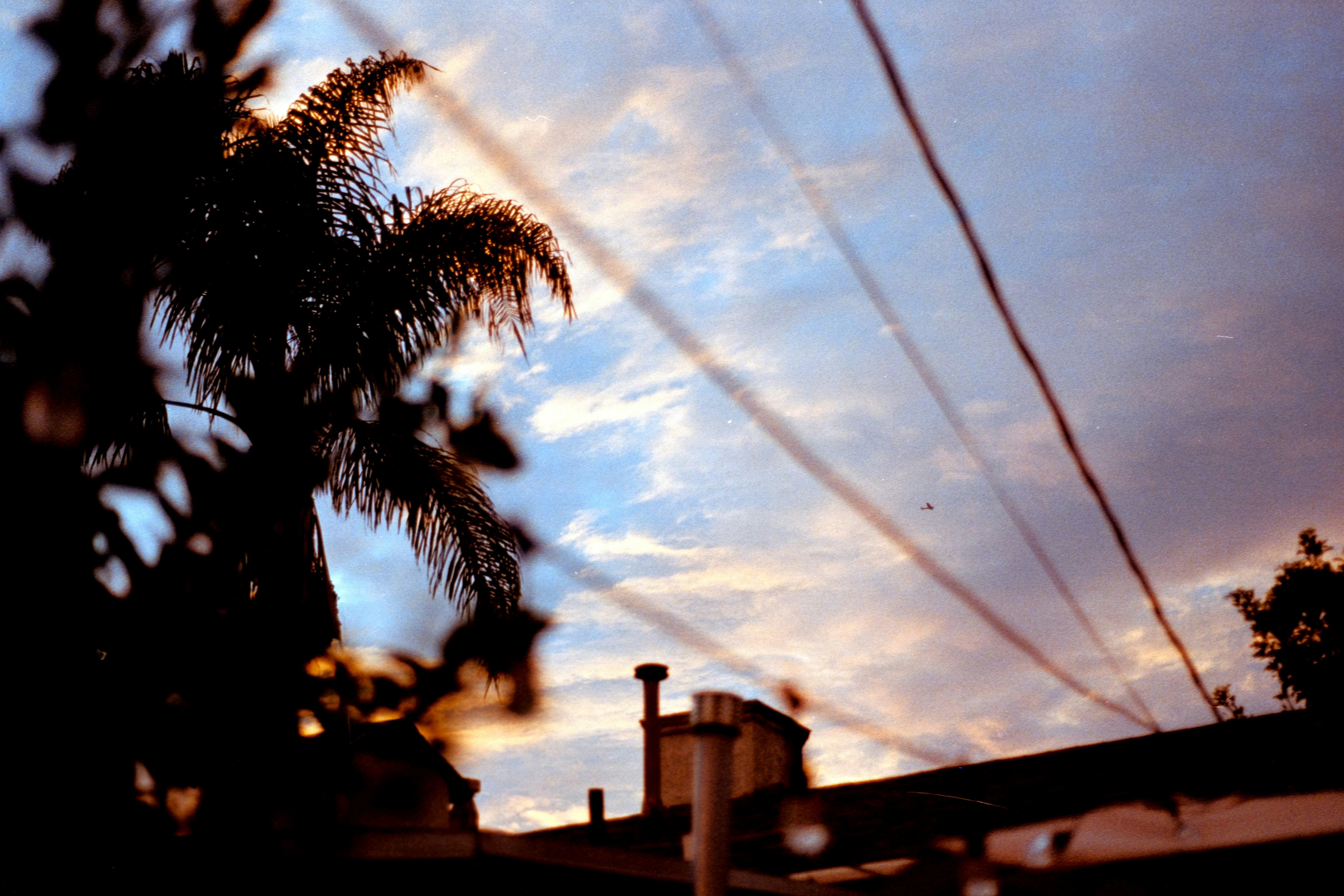 Photo by sashamatveeva