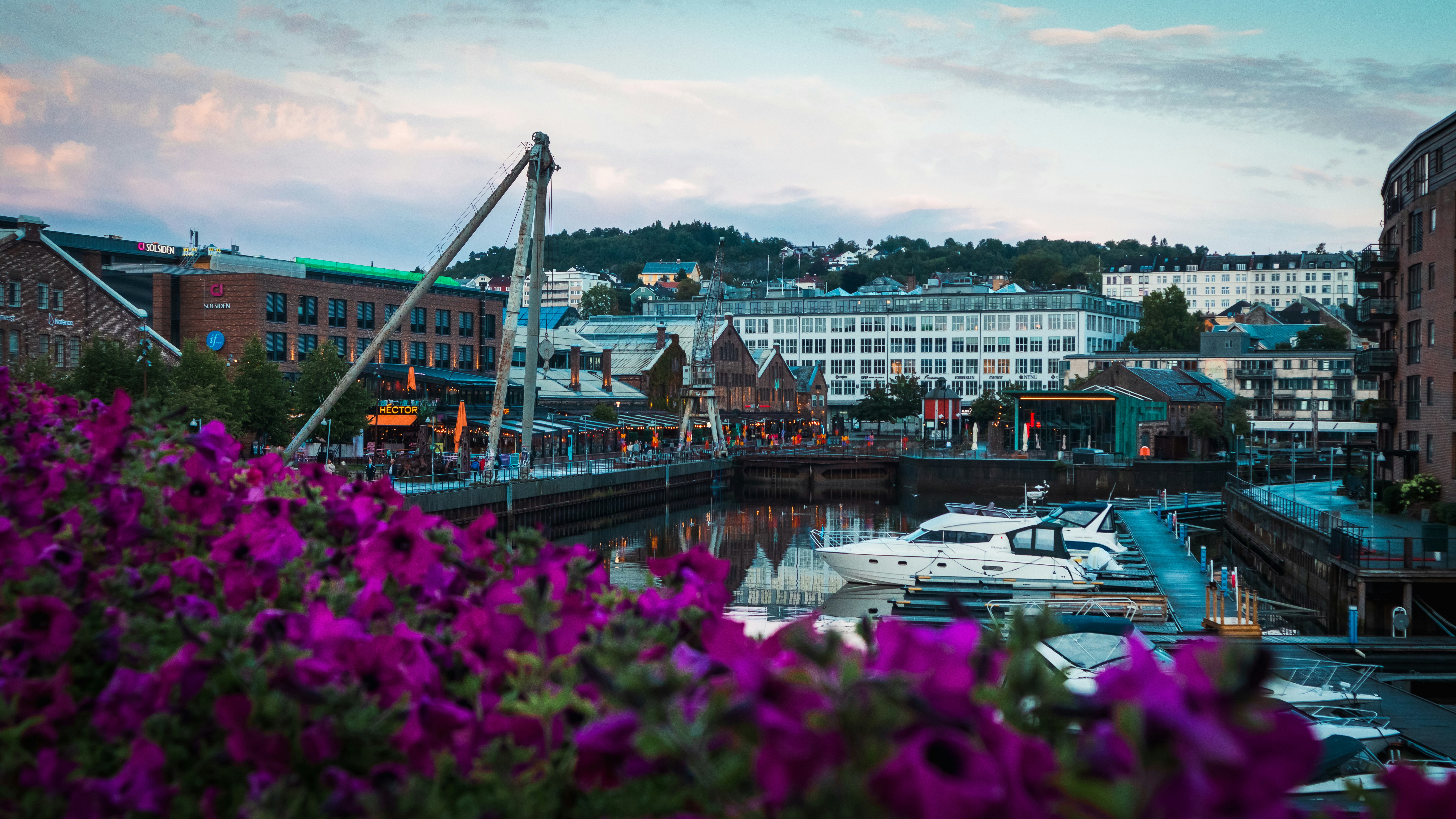 Photo by charly_nguyen