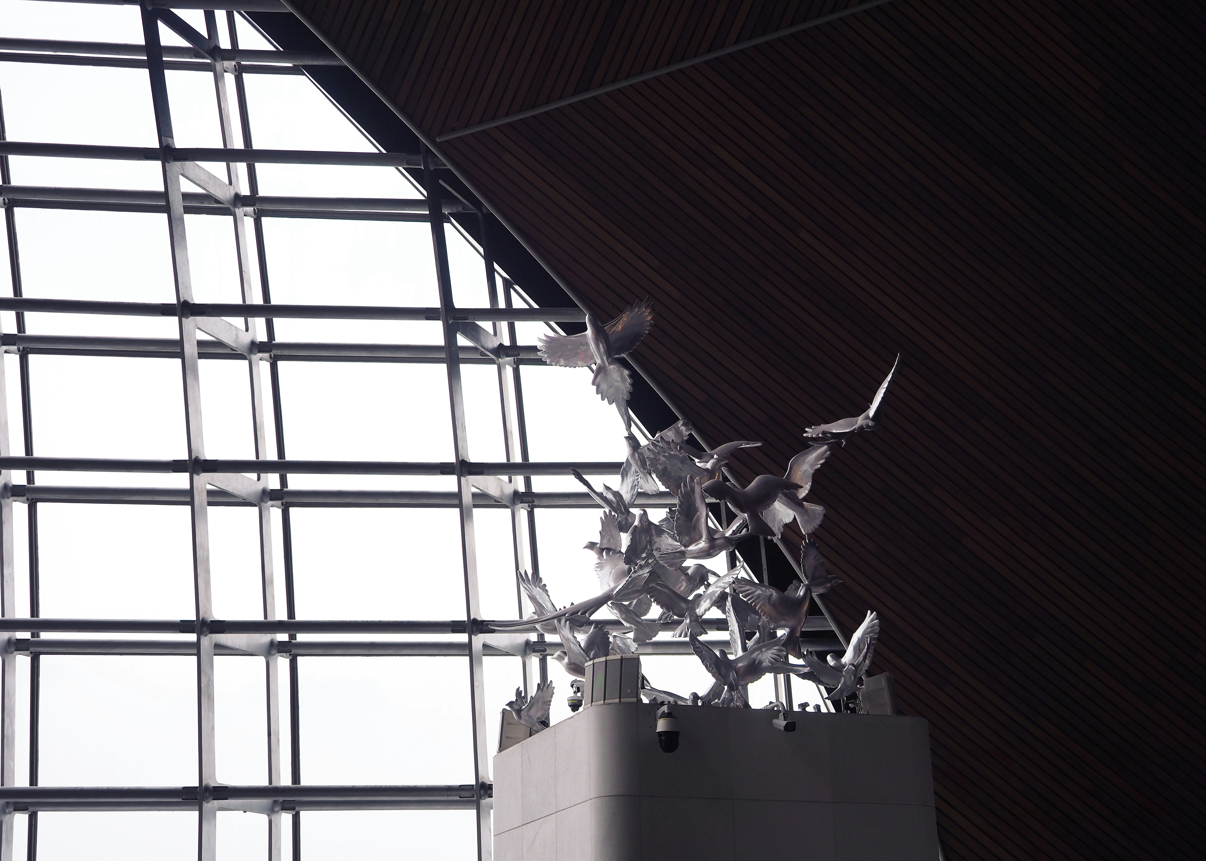 National Centre for the Performing Arts photo 3