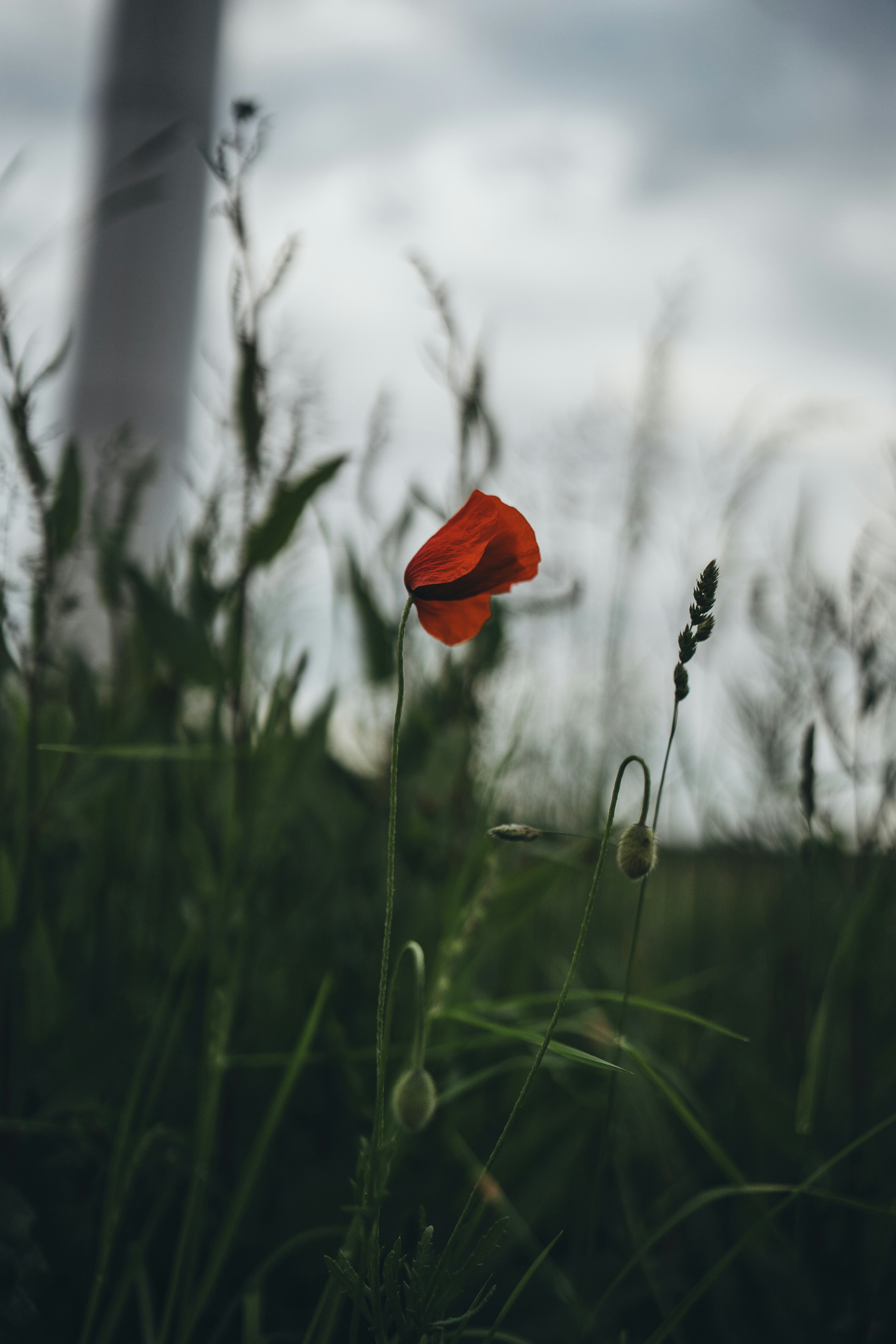 Photo by omarvellous14