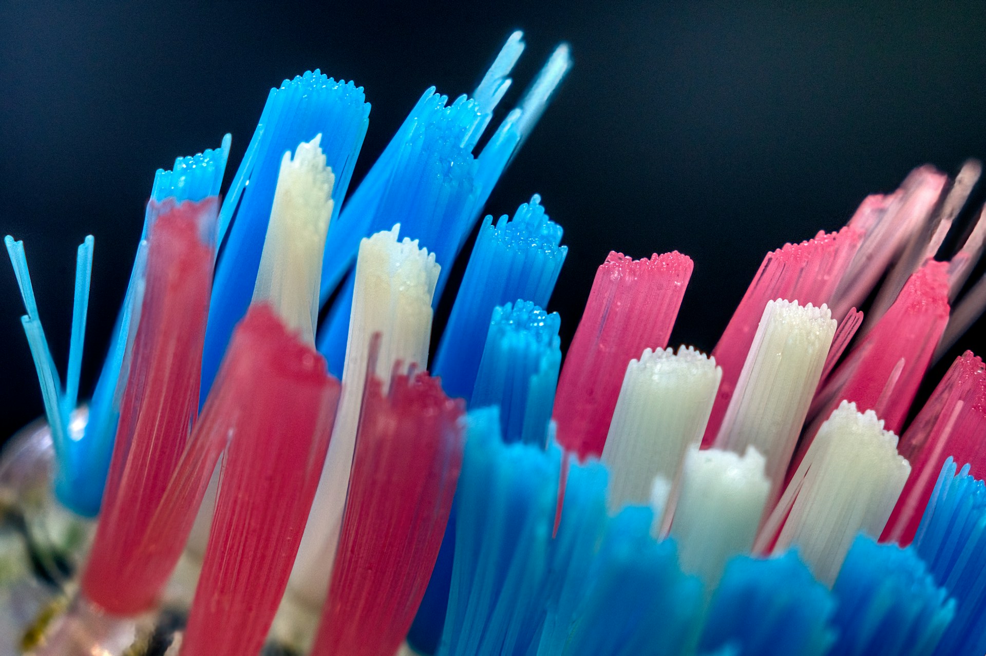 A bunch of toothbrushes are lined up together