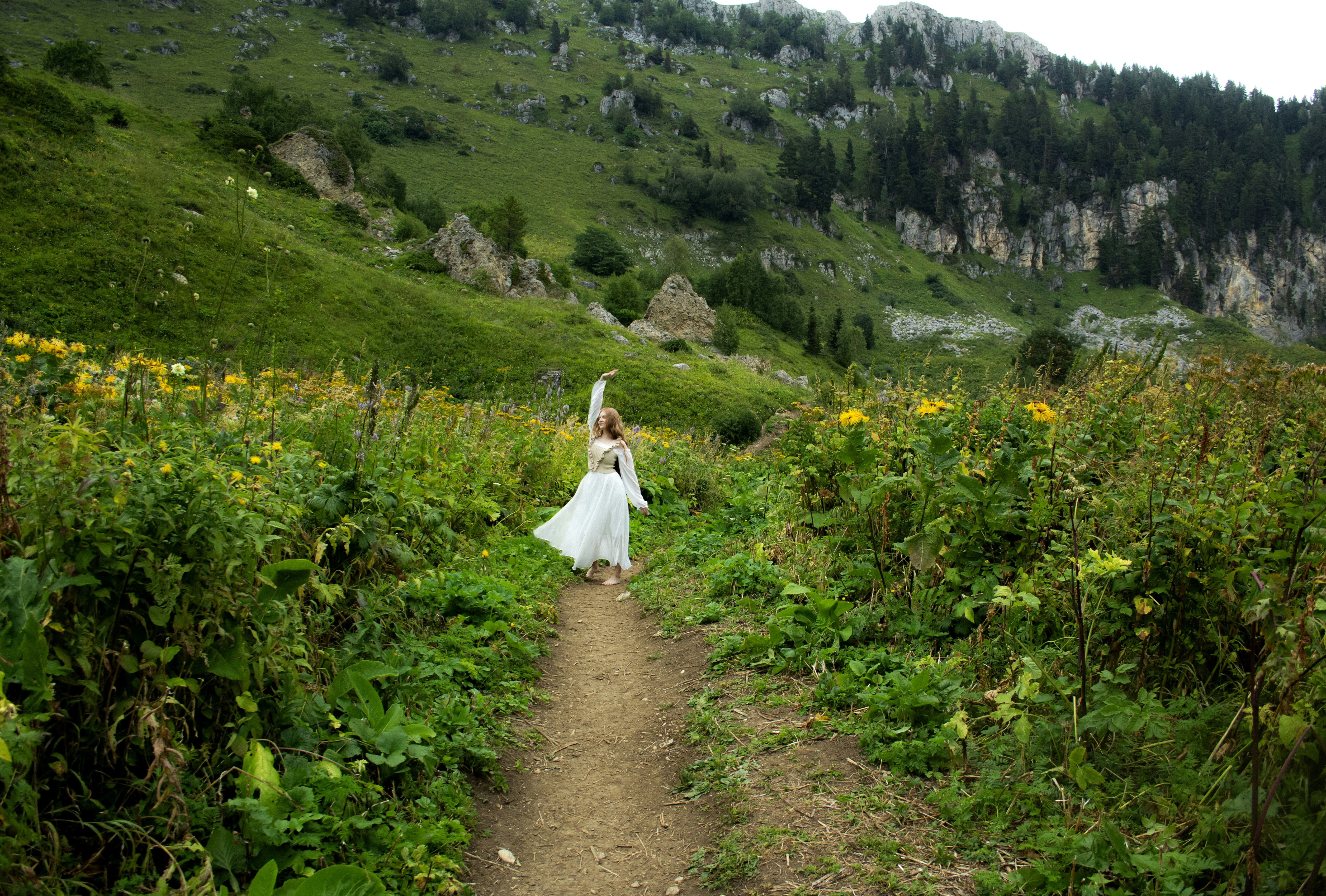 photo-1725640818273-079b1305cba1?ixid=M3