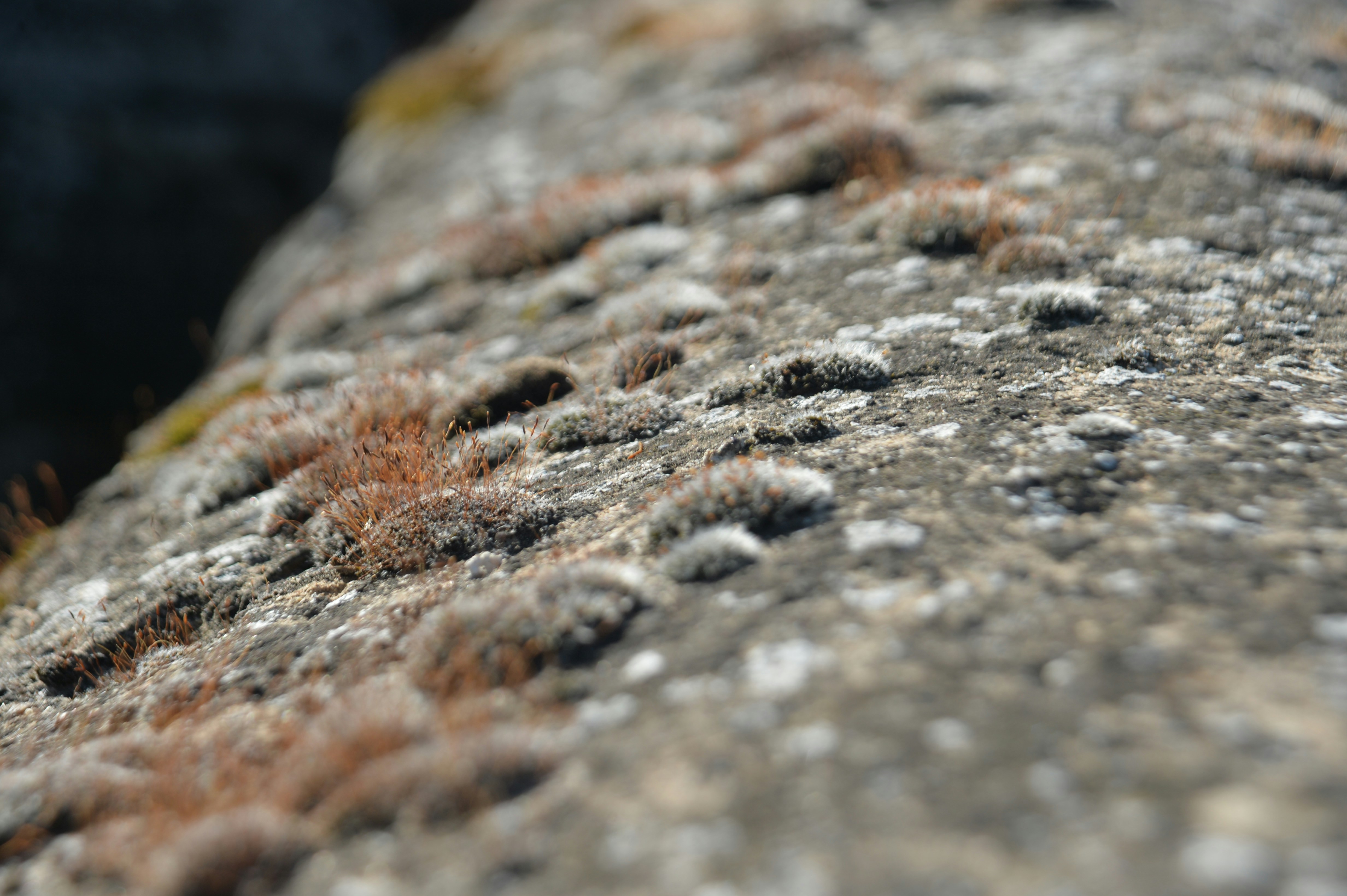 Photo by baliko_andras