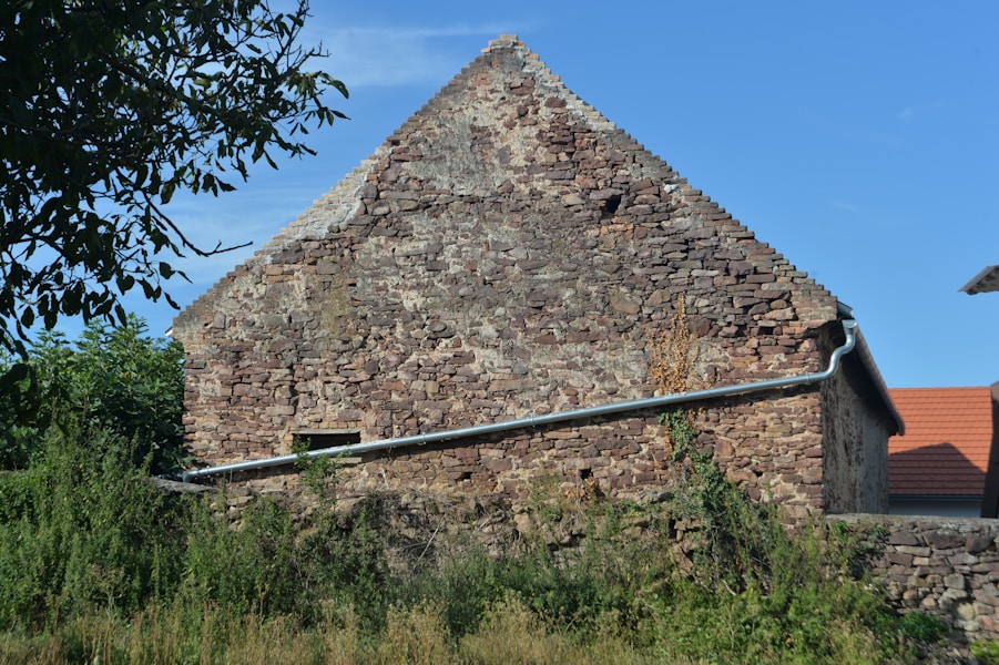 Cover Image of the Post