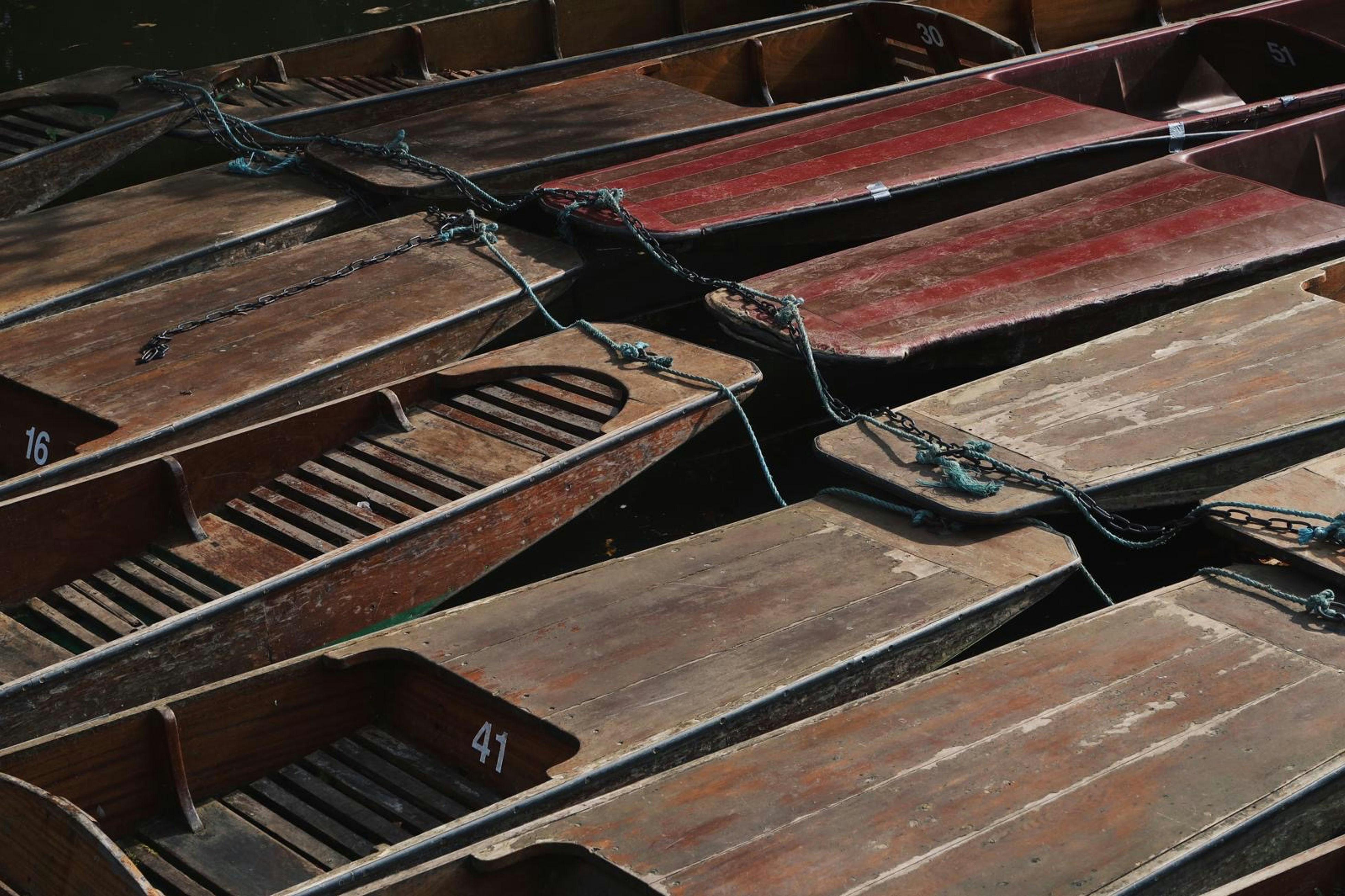 Photo by humansmadethis