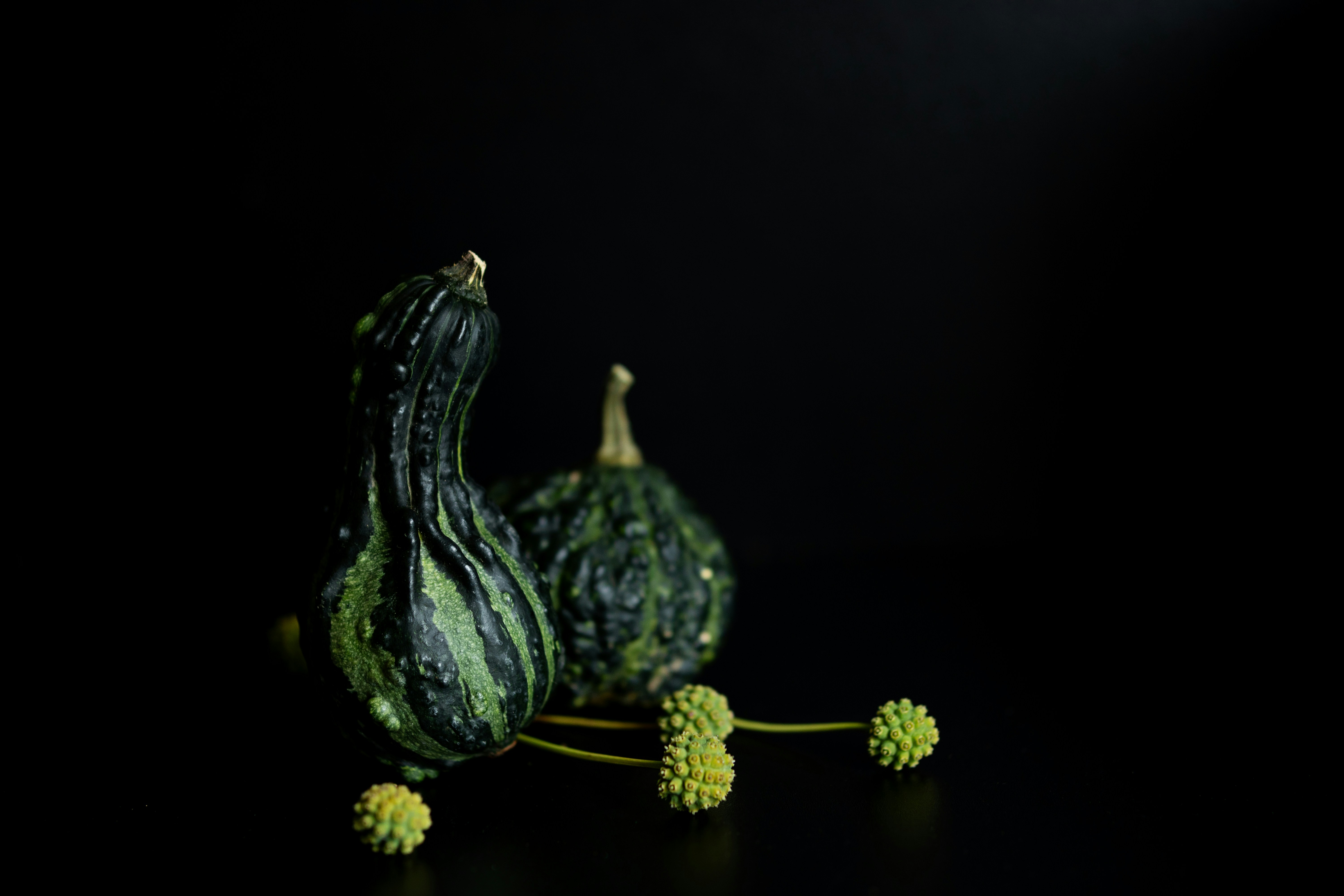Pumpkin Seed Oil