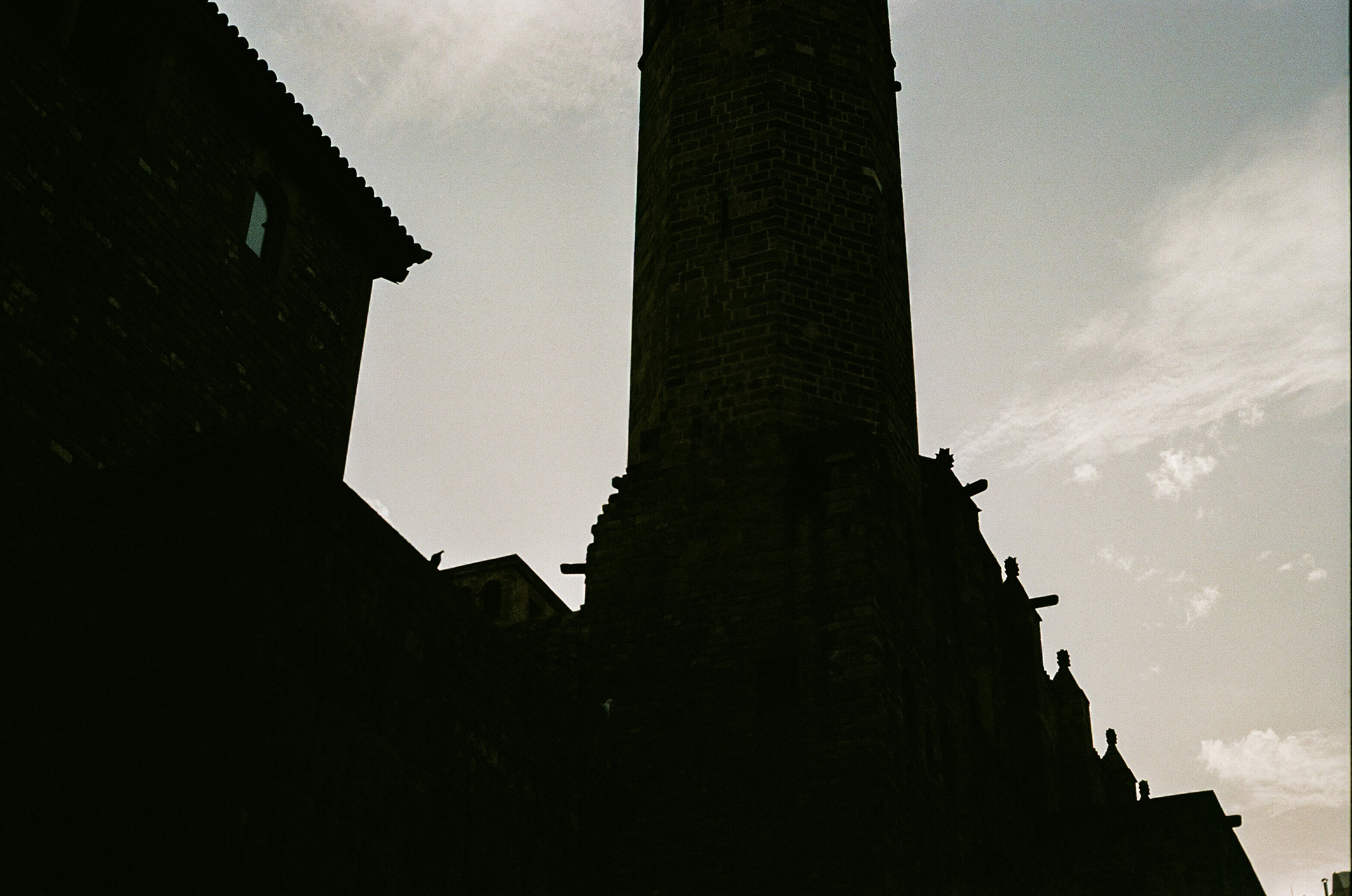 Photo by taramaemil