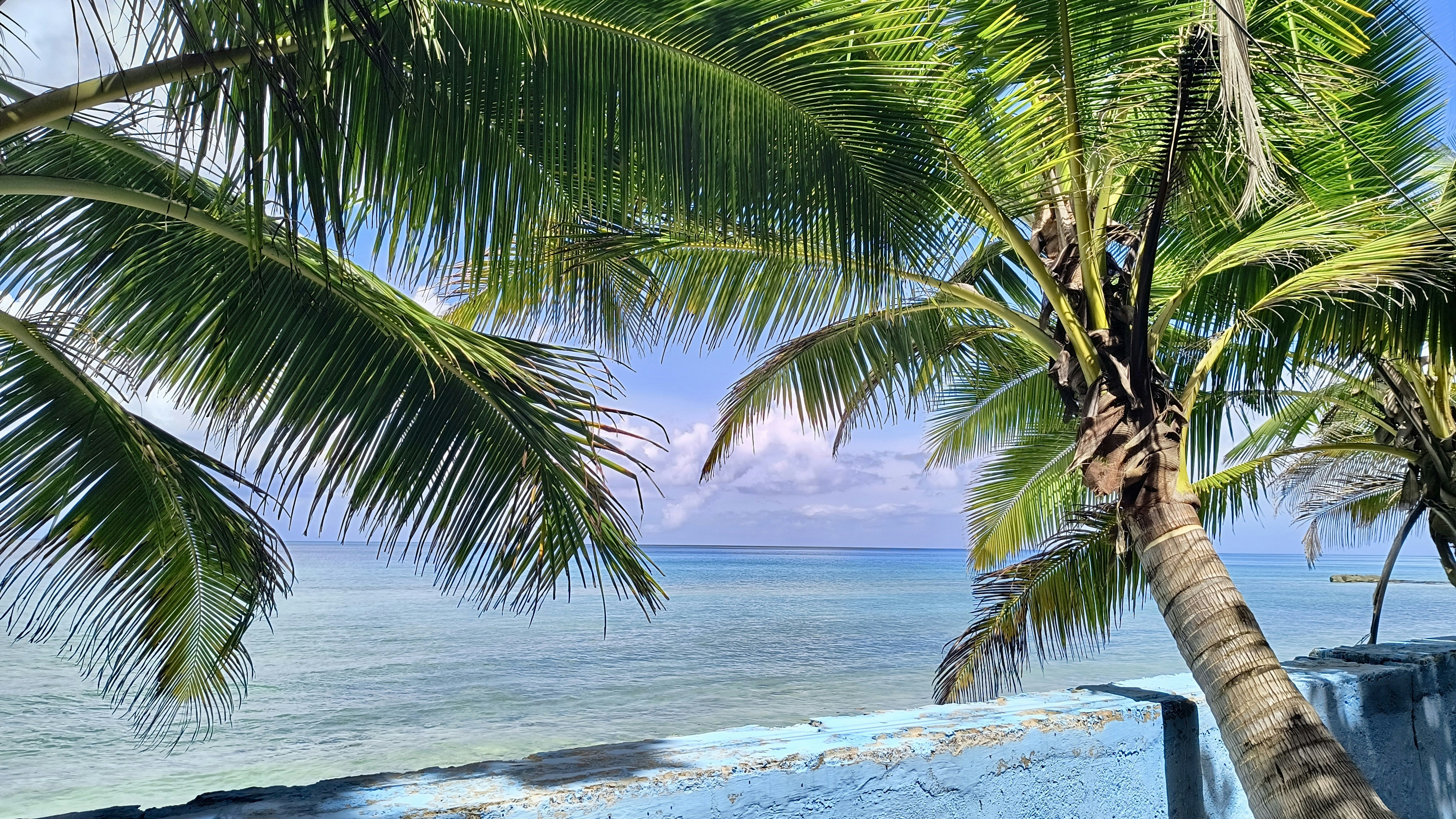 Photo by thelostmiles