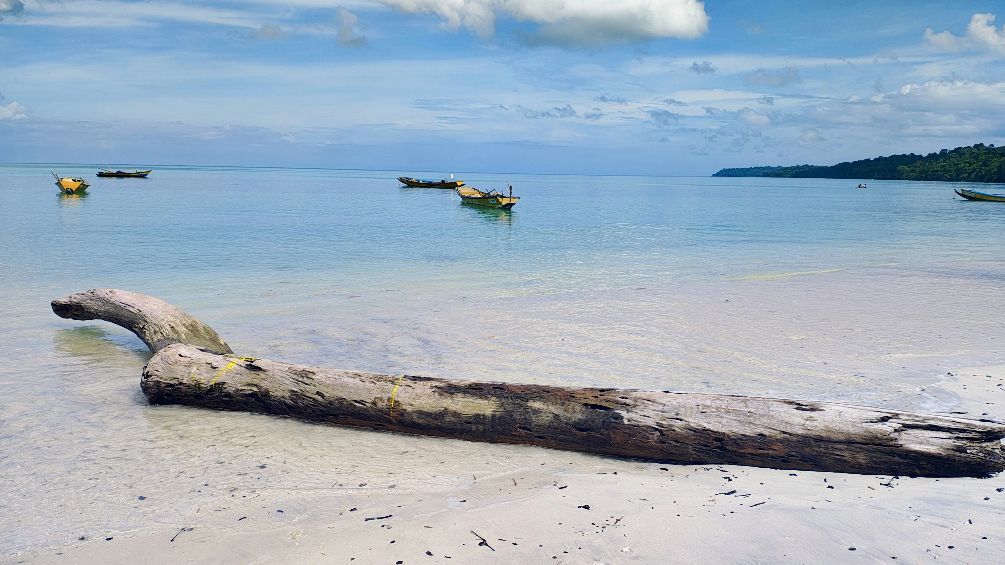 Photo by thelostmiles