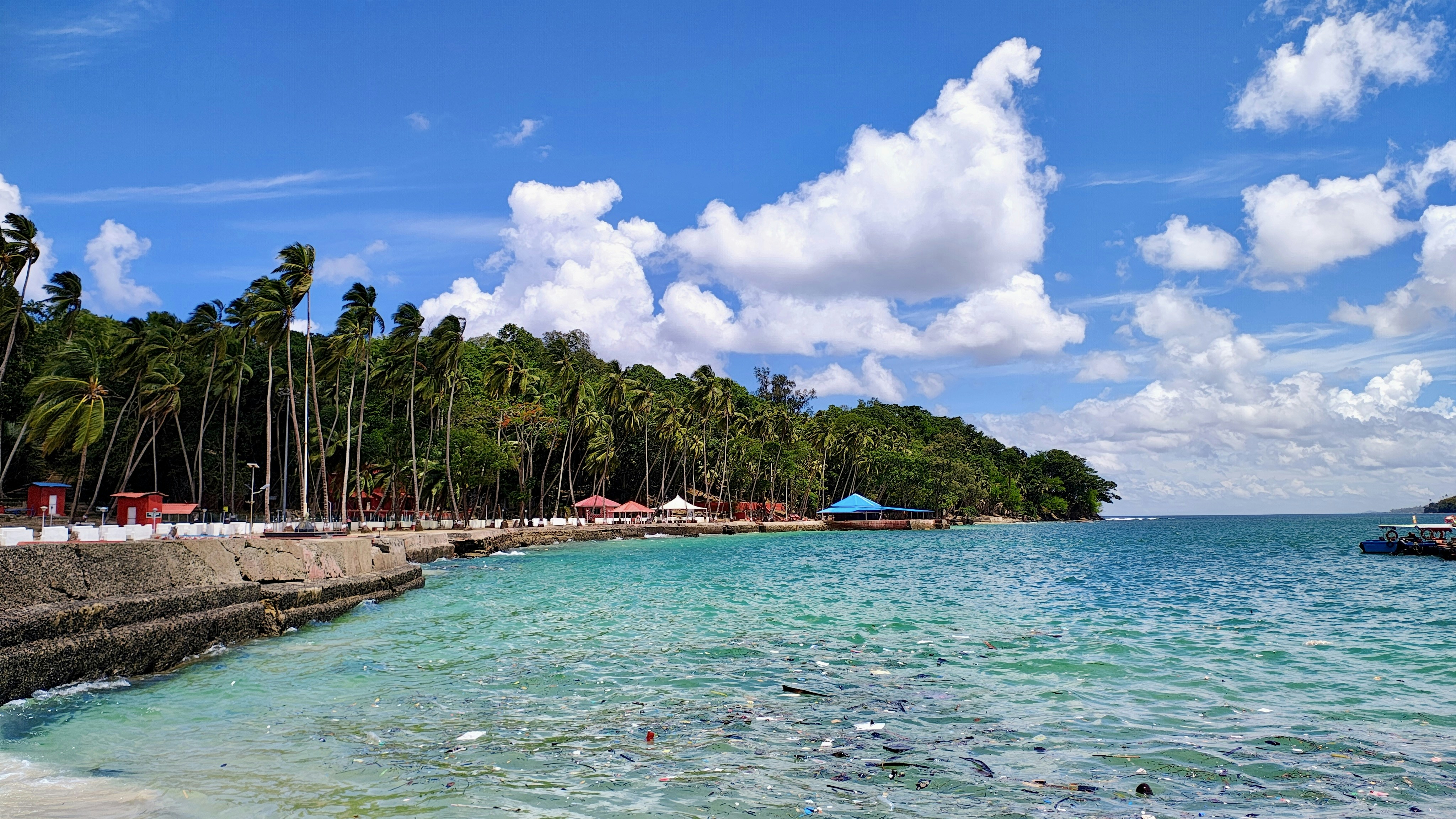 A sandy beach with palm trees and blue water