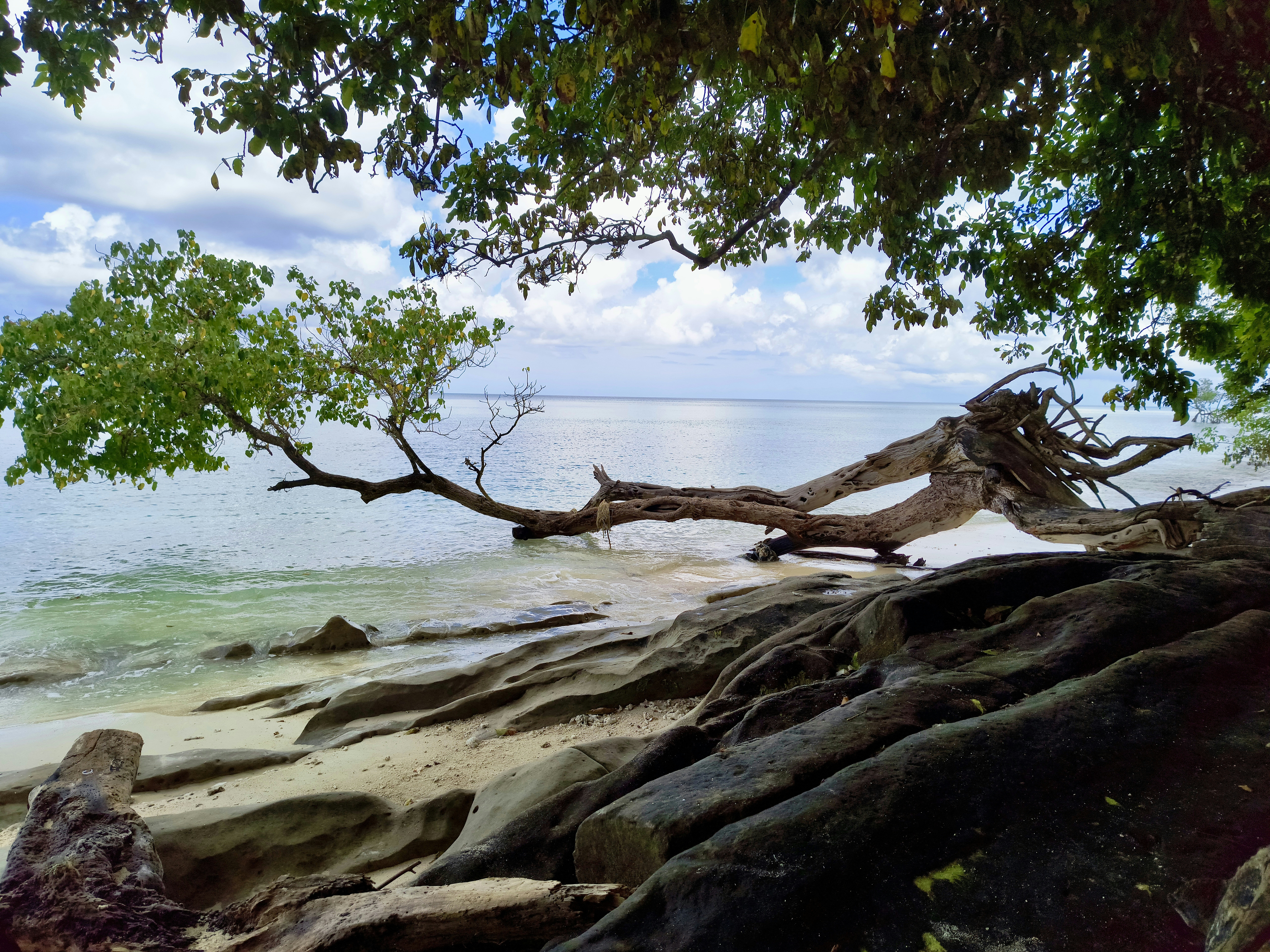 Photo by thelostmiles