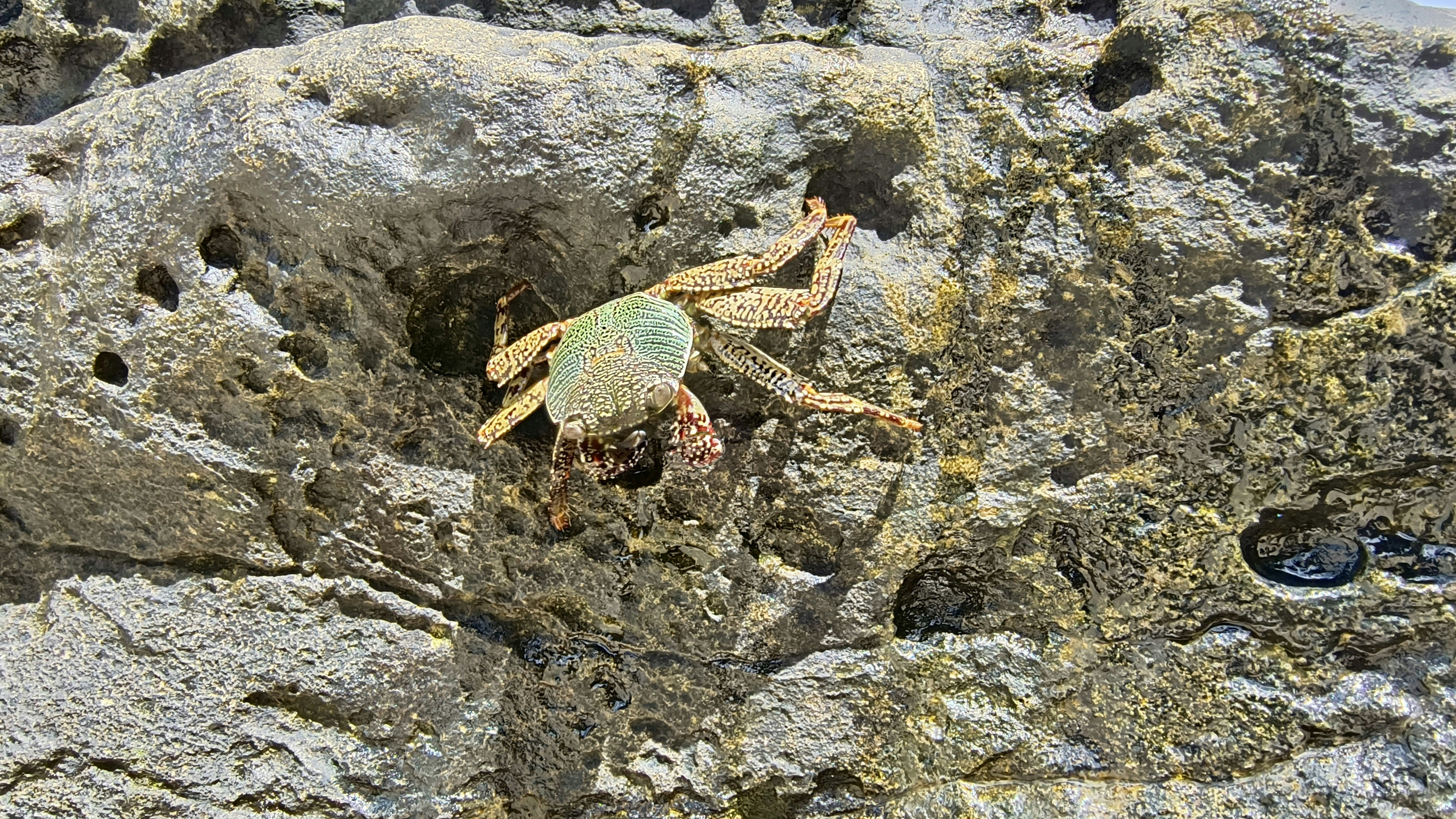 Photo by thelostmiles