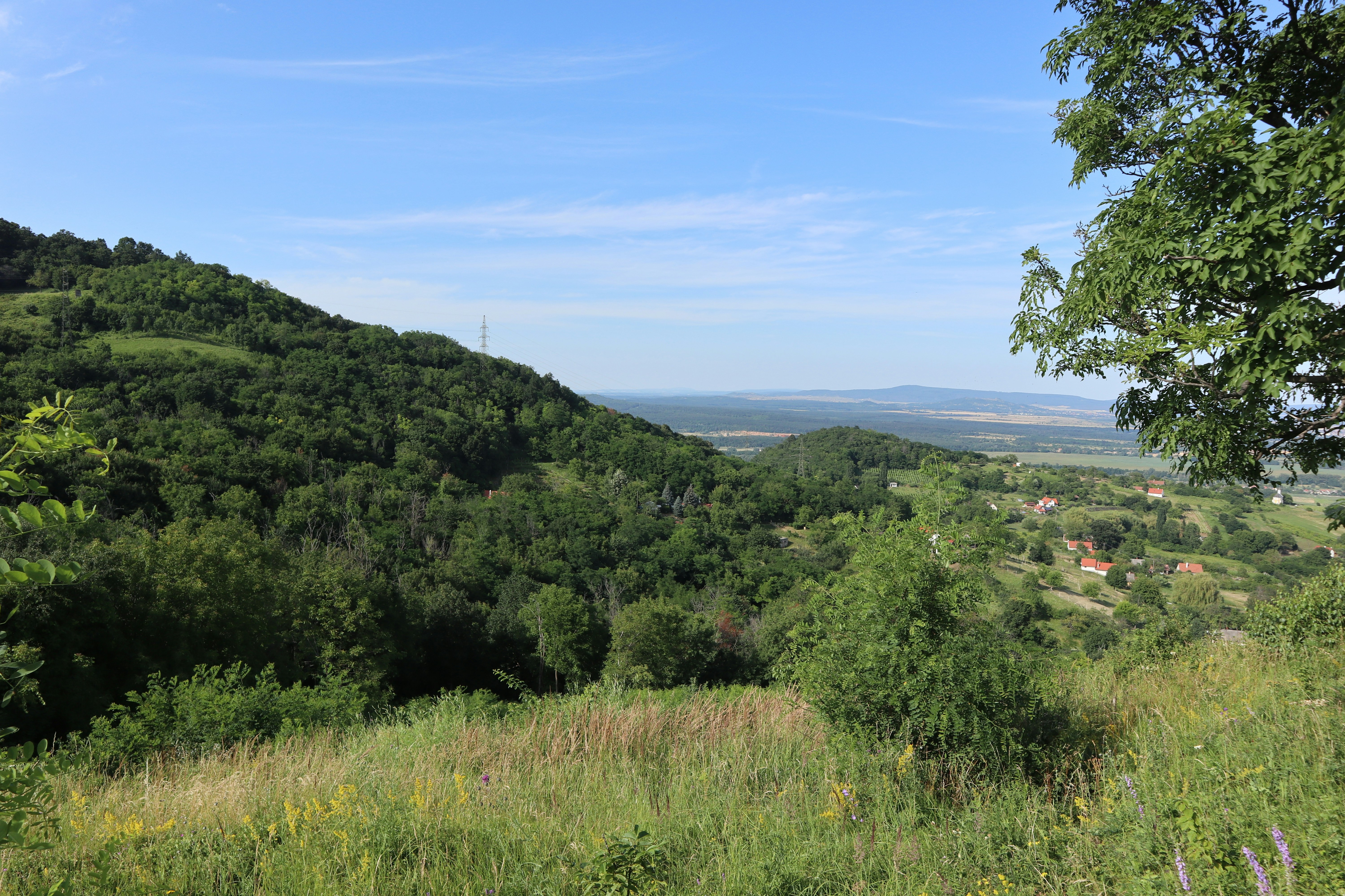 Photo by balint_miko