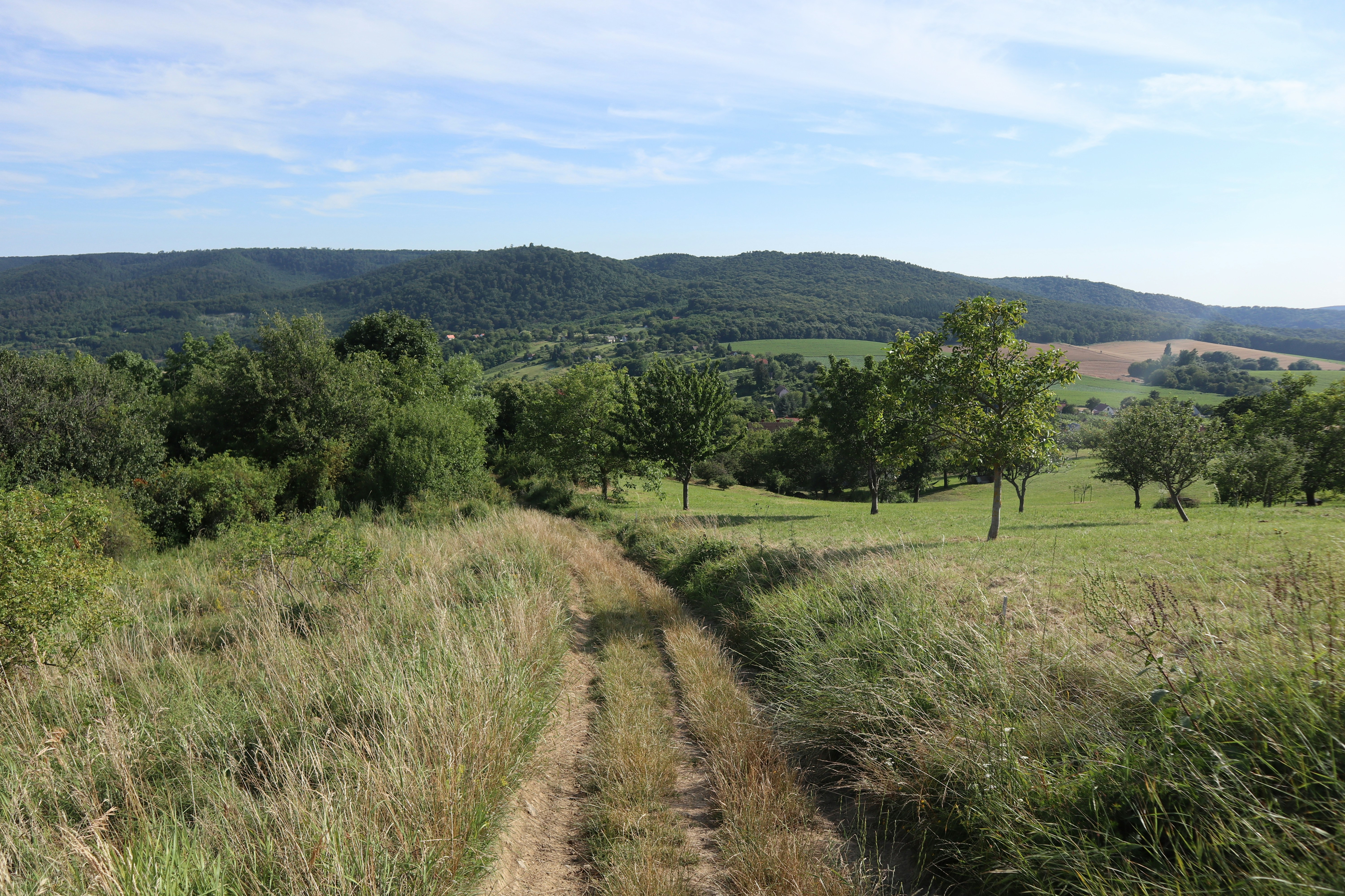 Photo by balint_miko