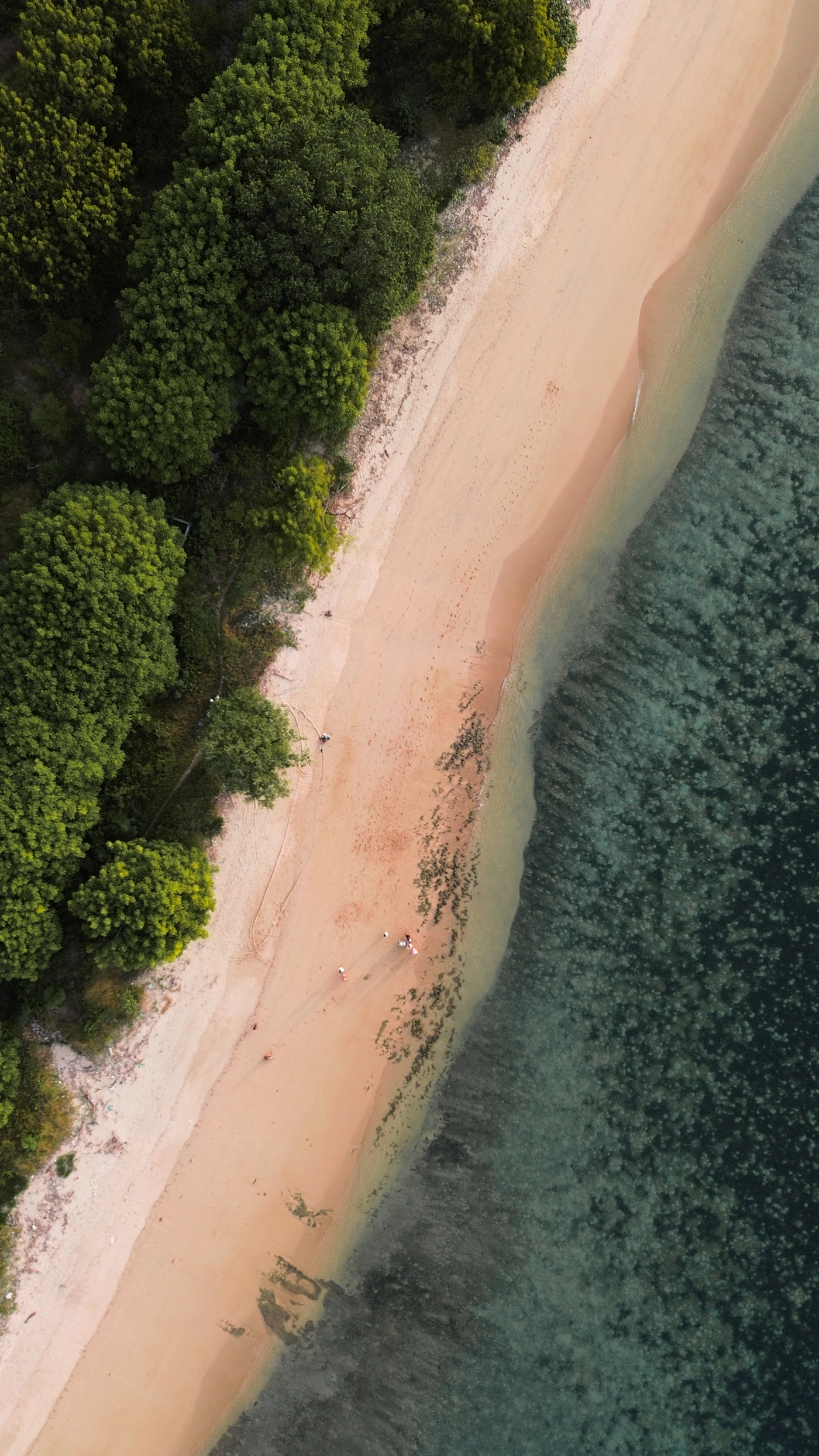 Snorkeling di perairan jernih Gili Nanggu, destinasi Paket Honeymoon Lombok 3 Hari 2 Malam B