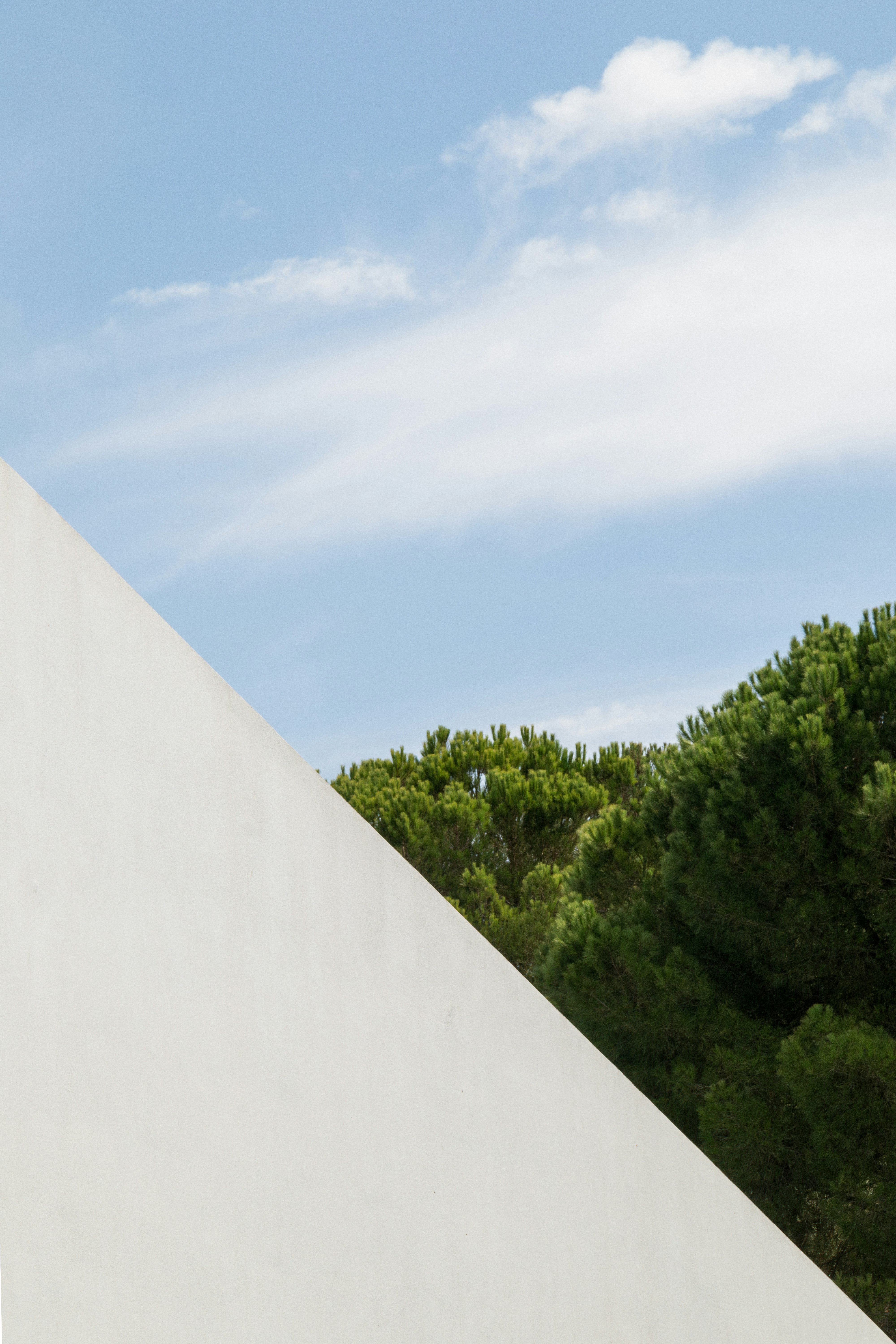 Photo by filipenobre