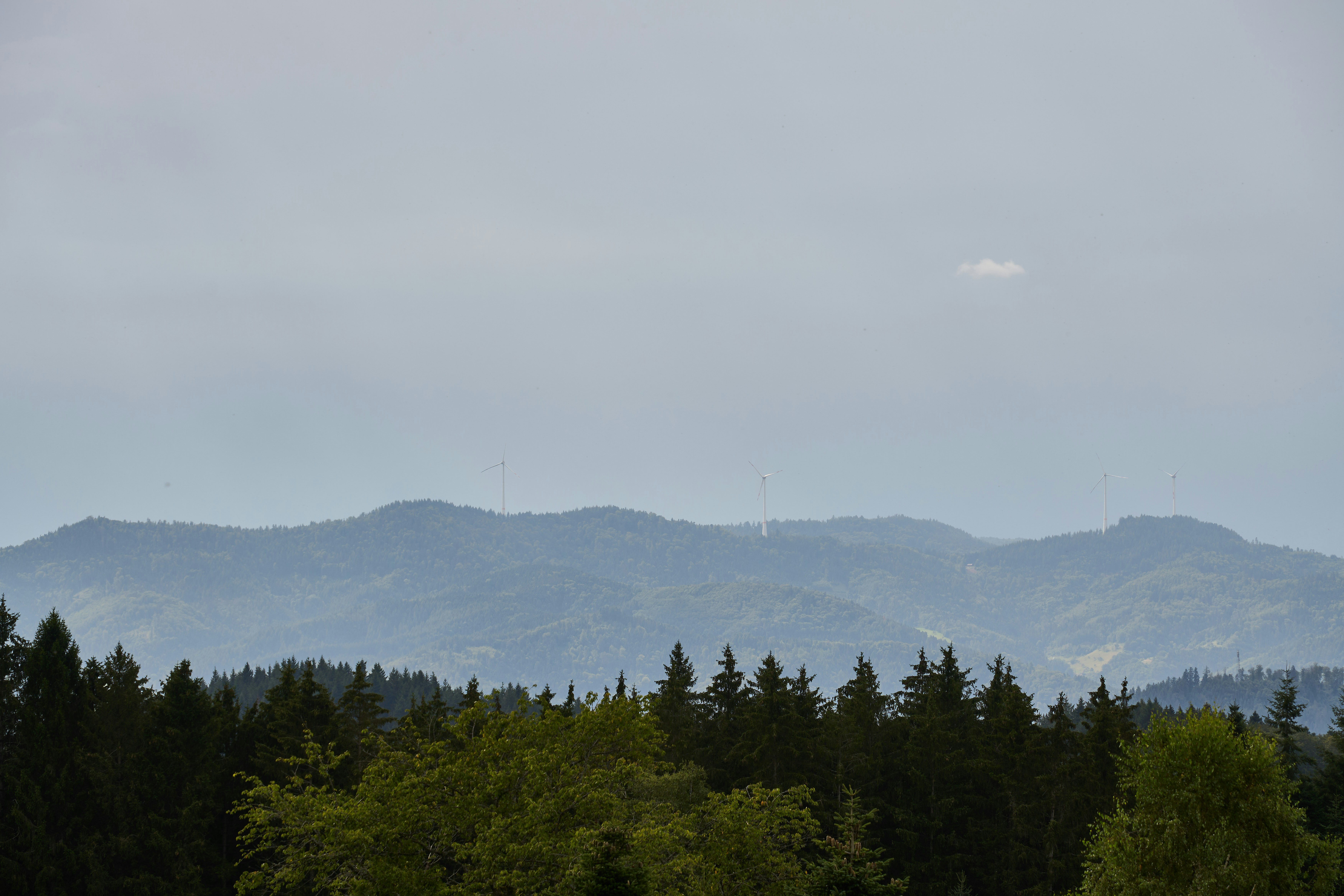 Photo by wolfgang_hasselmann