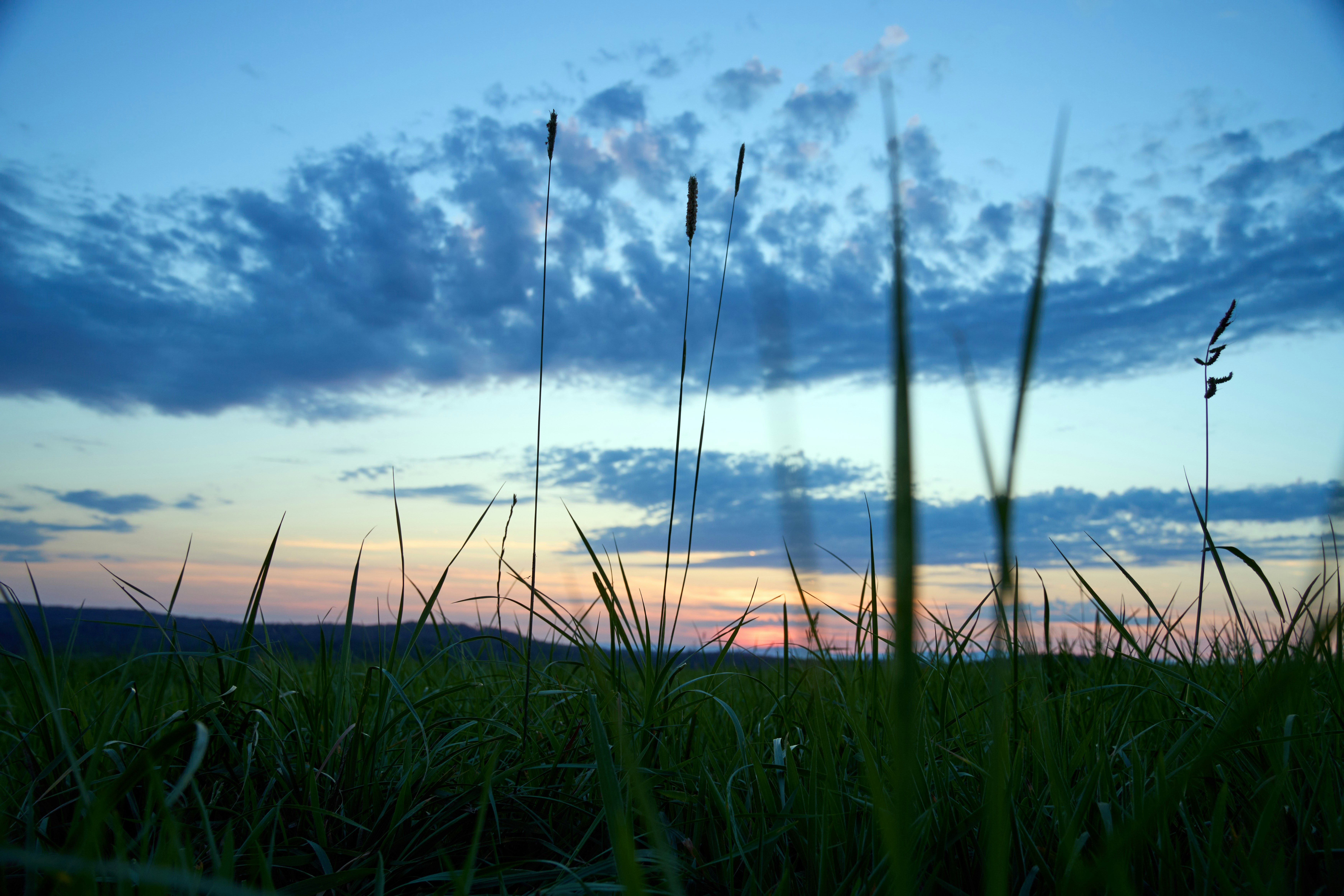 Photo by wolfgang_hasselmann