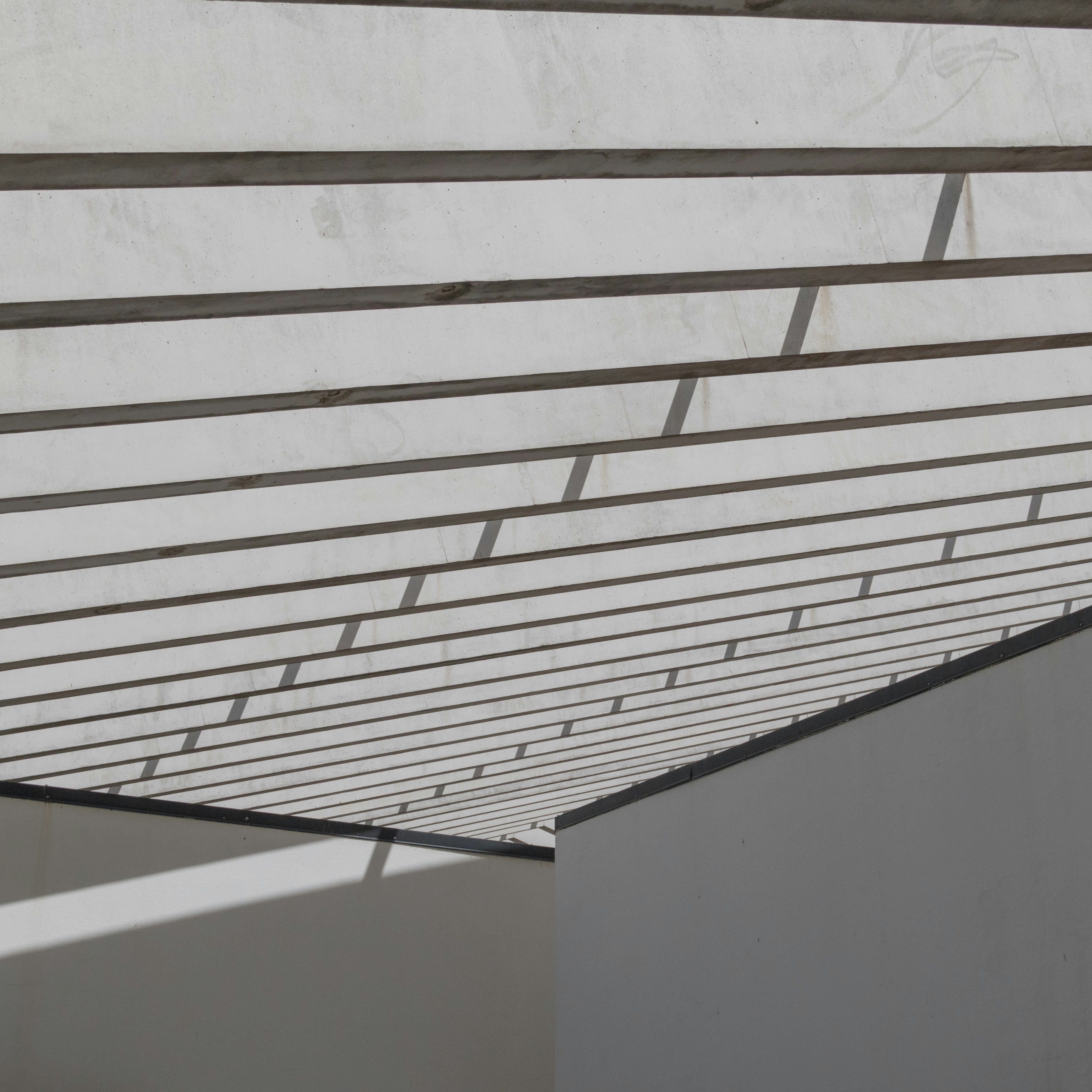 Photo by filipenobre