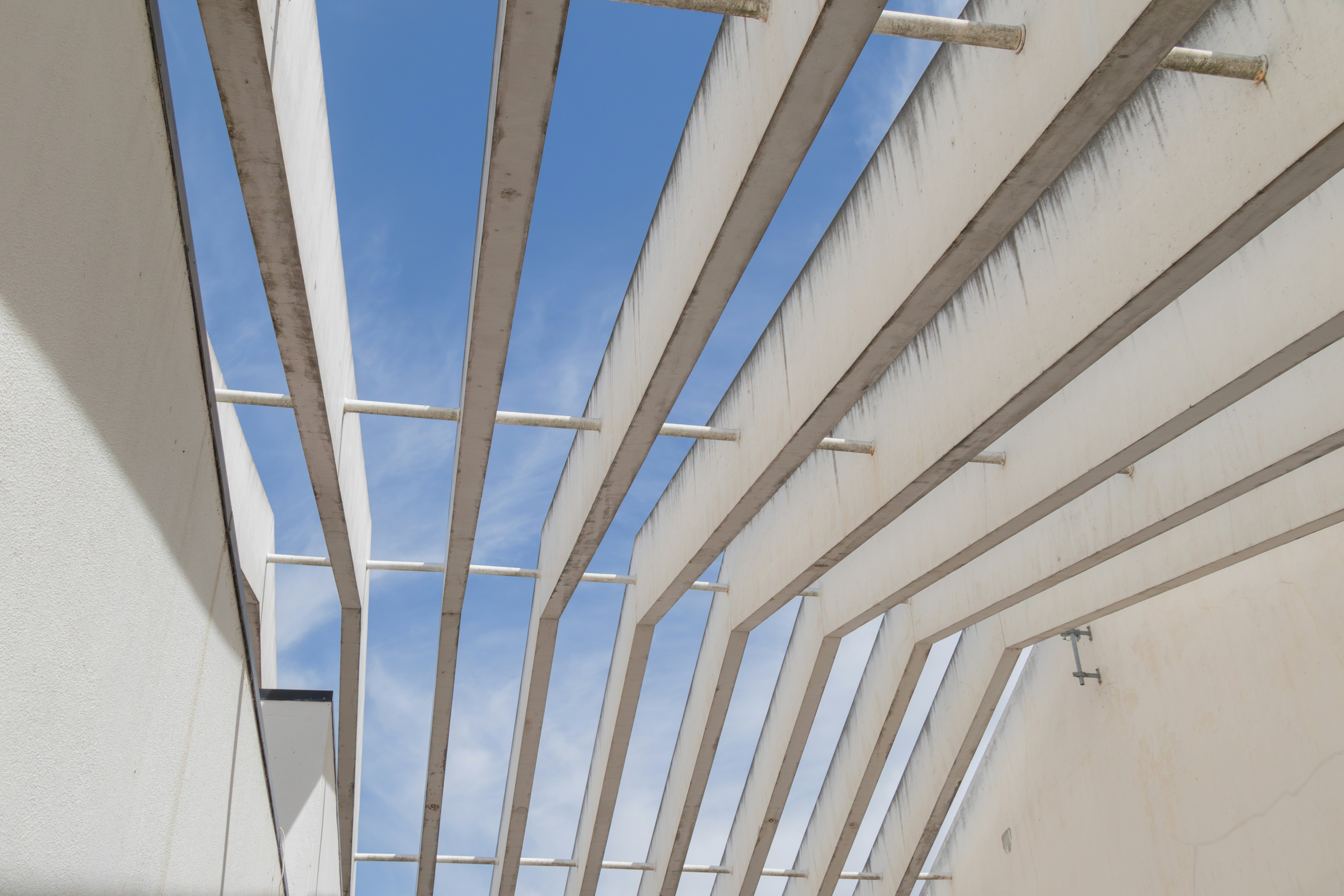 Photo by filipenobre