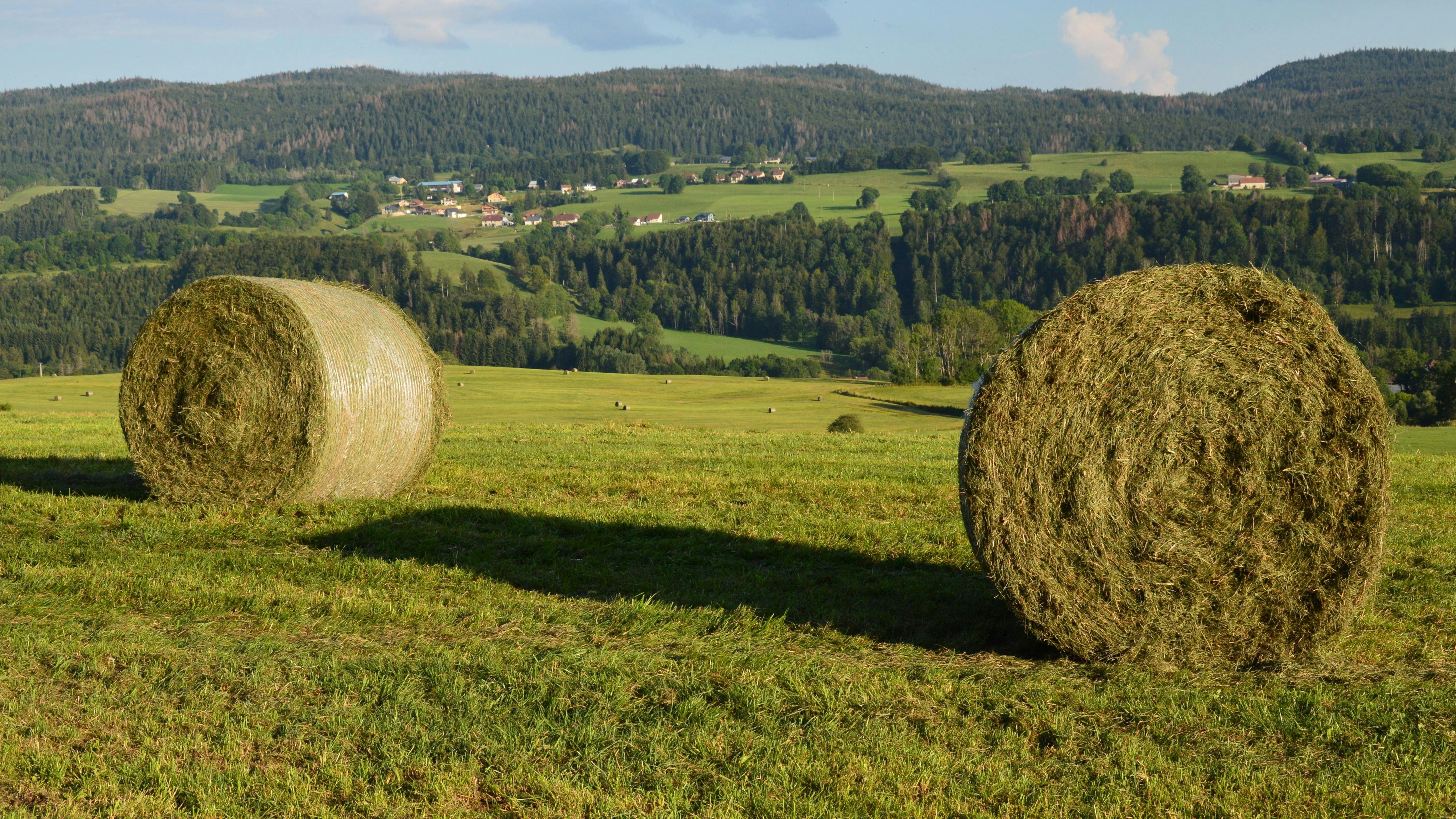 Two bales of hay in a field with mountains in the background