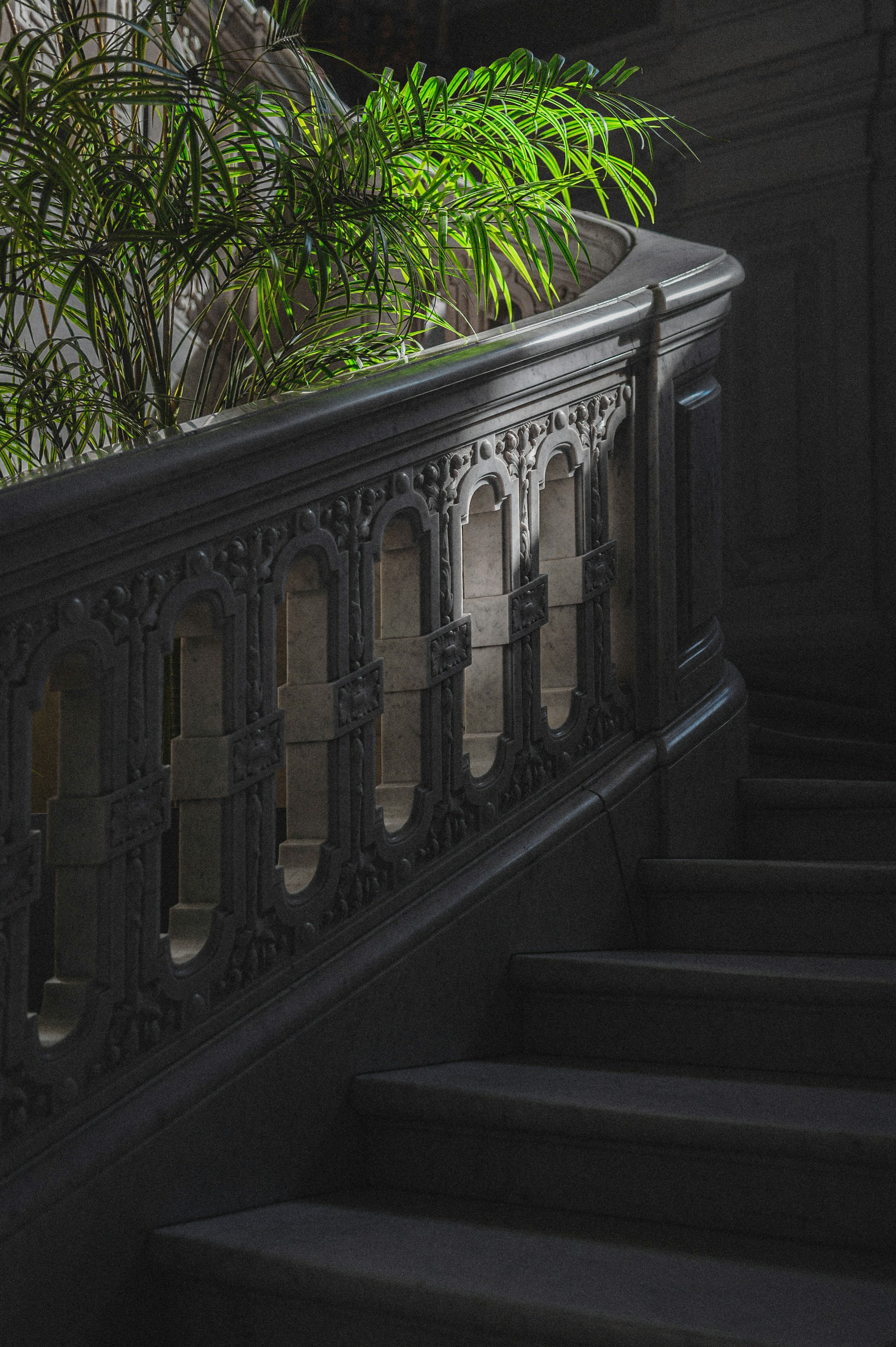 A stair case with a plant on top of it
