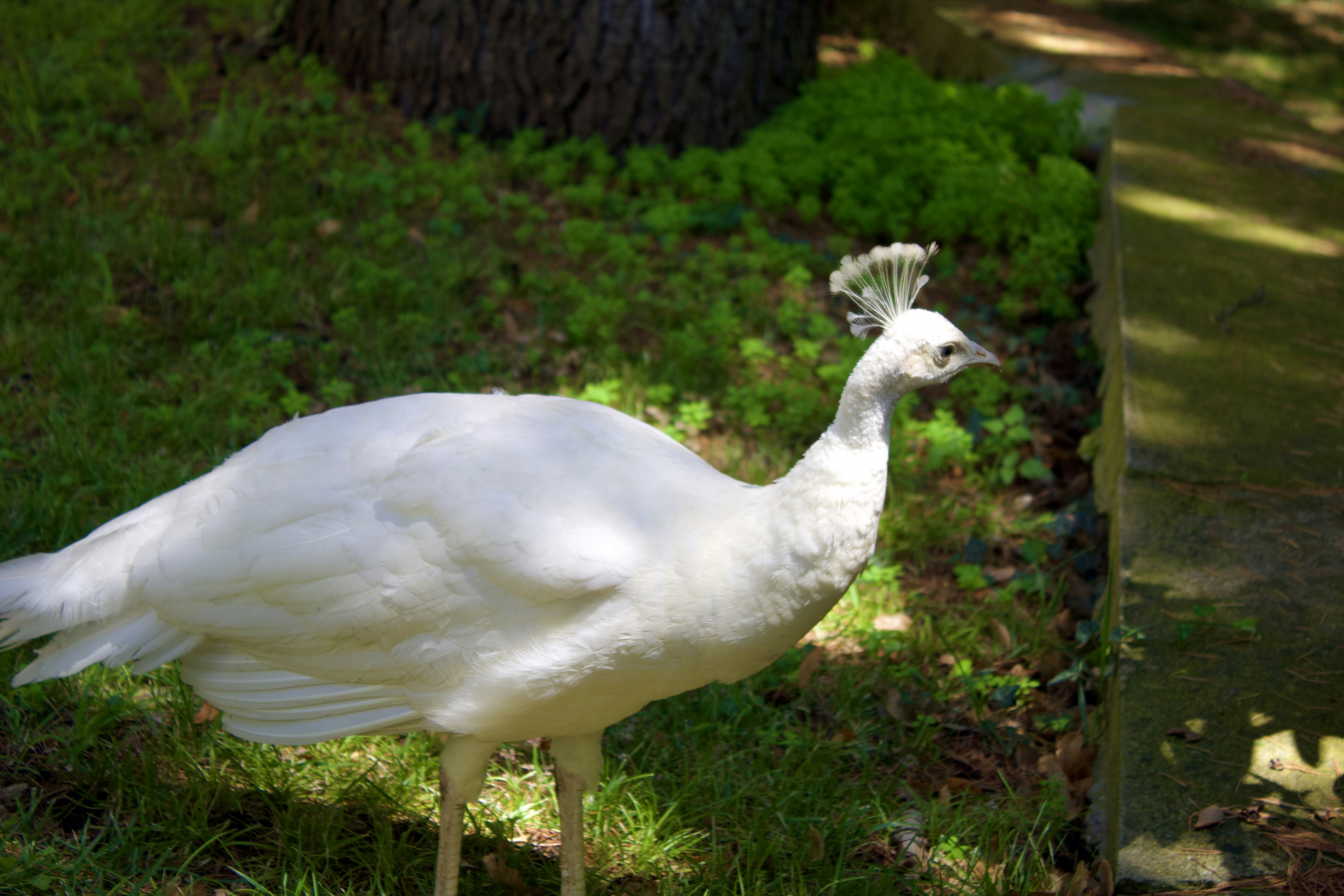 Photo by tahaberktekin