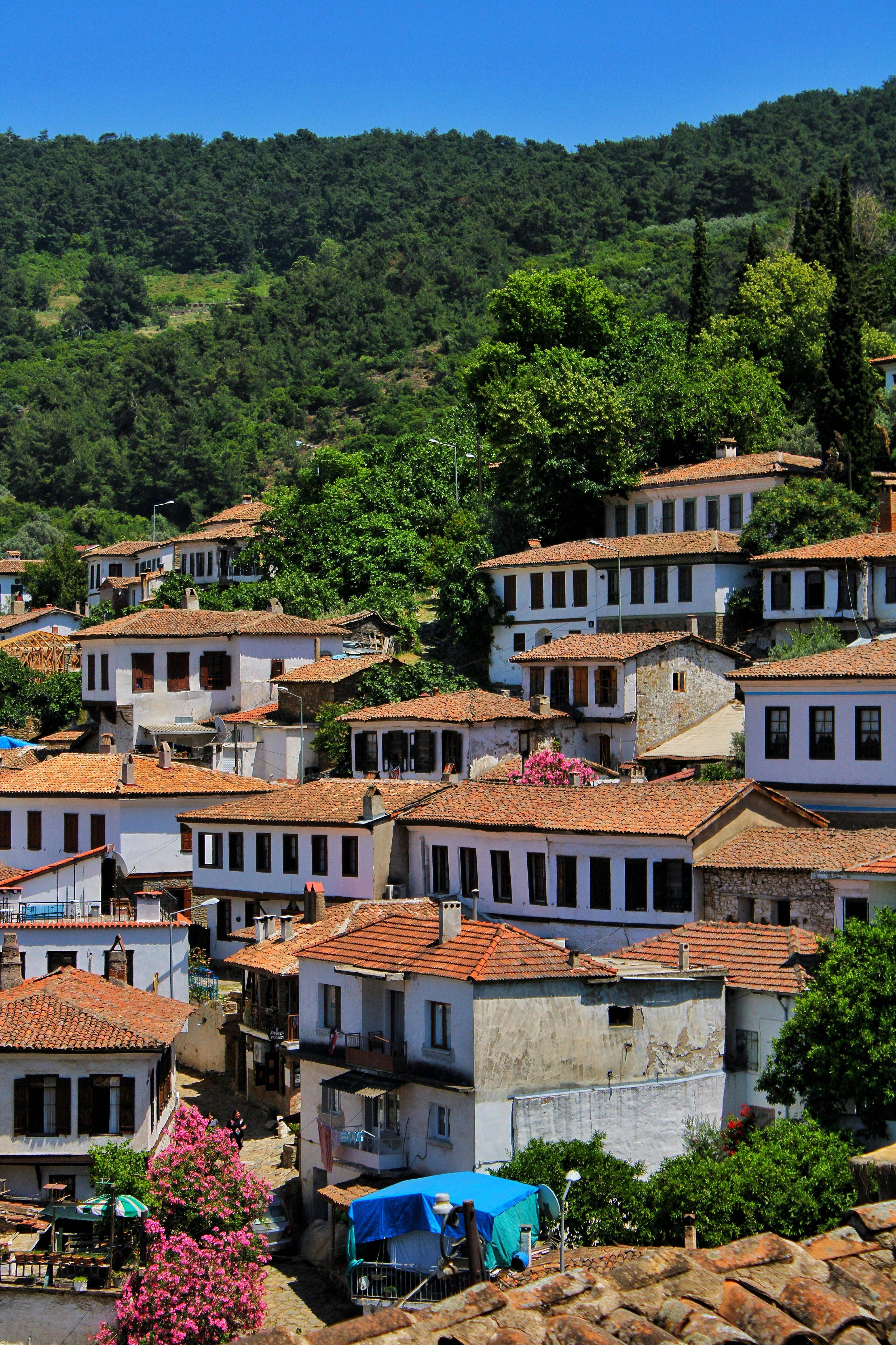 Photo by tahaberktekin