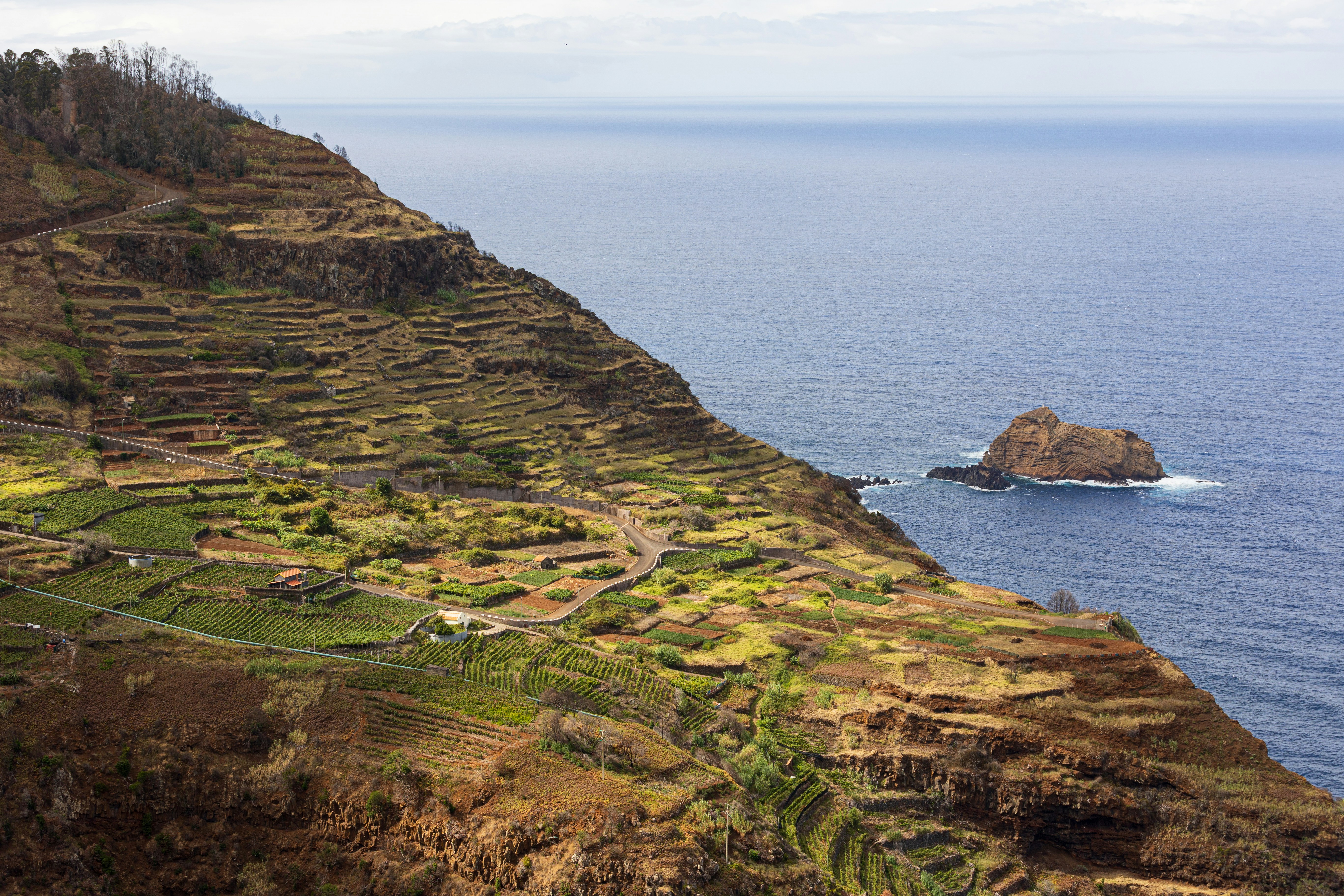 A large body of water sitting next to a lush green hillside