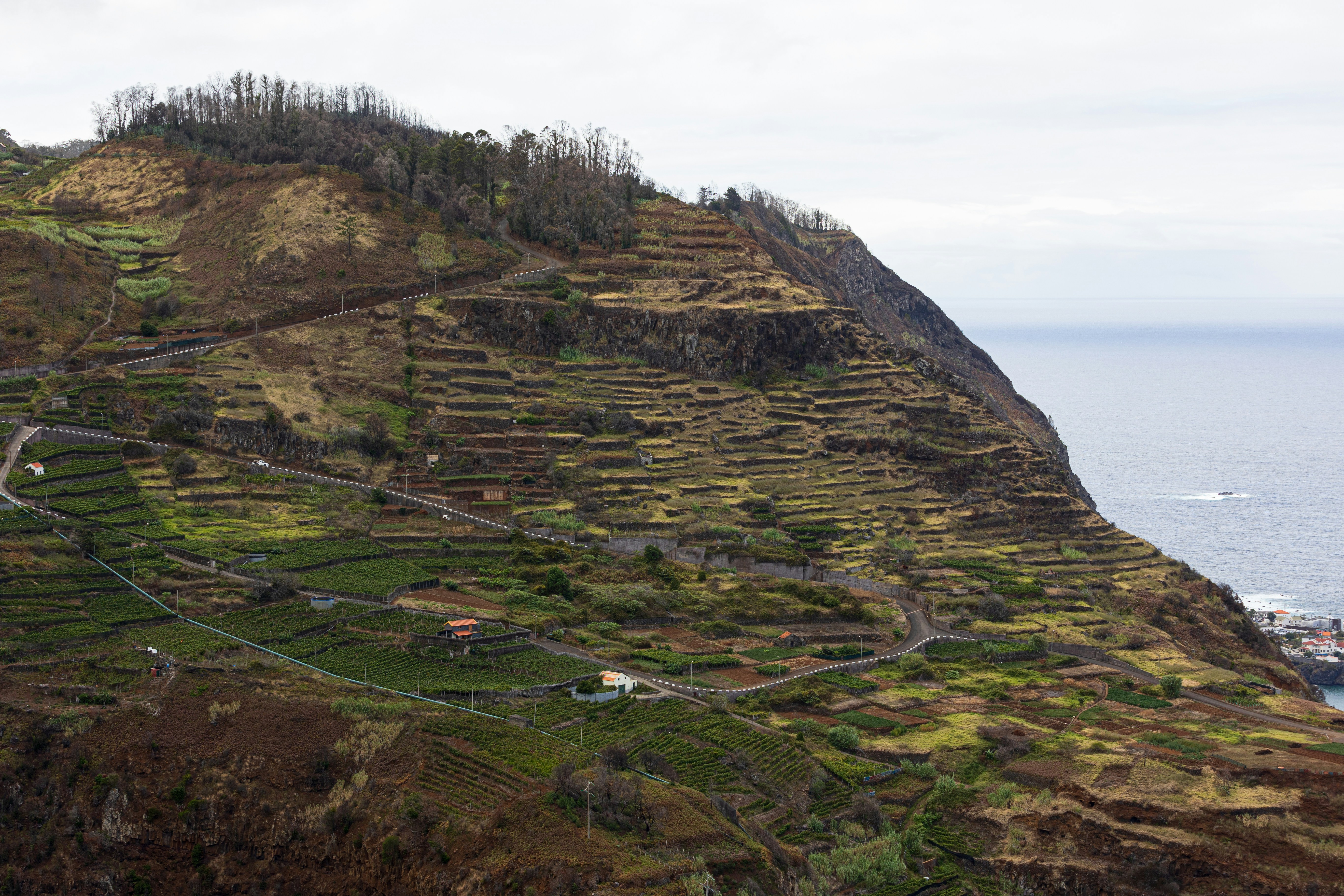 A scenic view of a mountain with a winding road