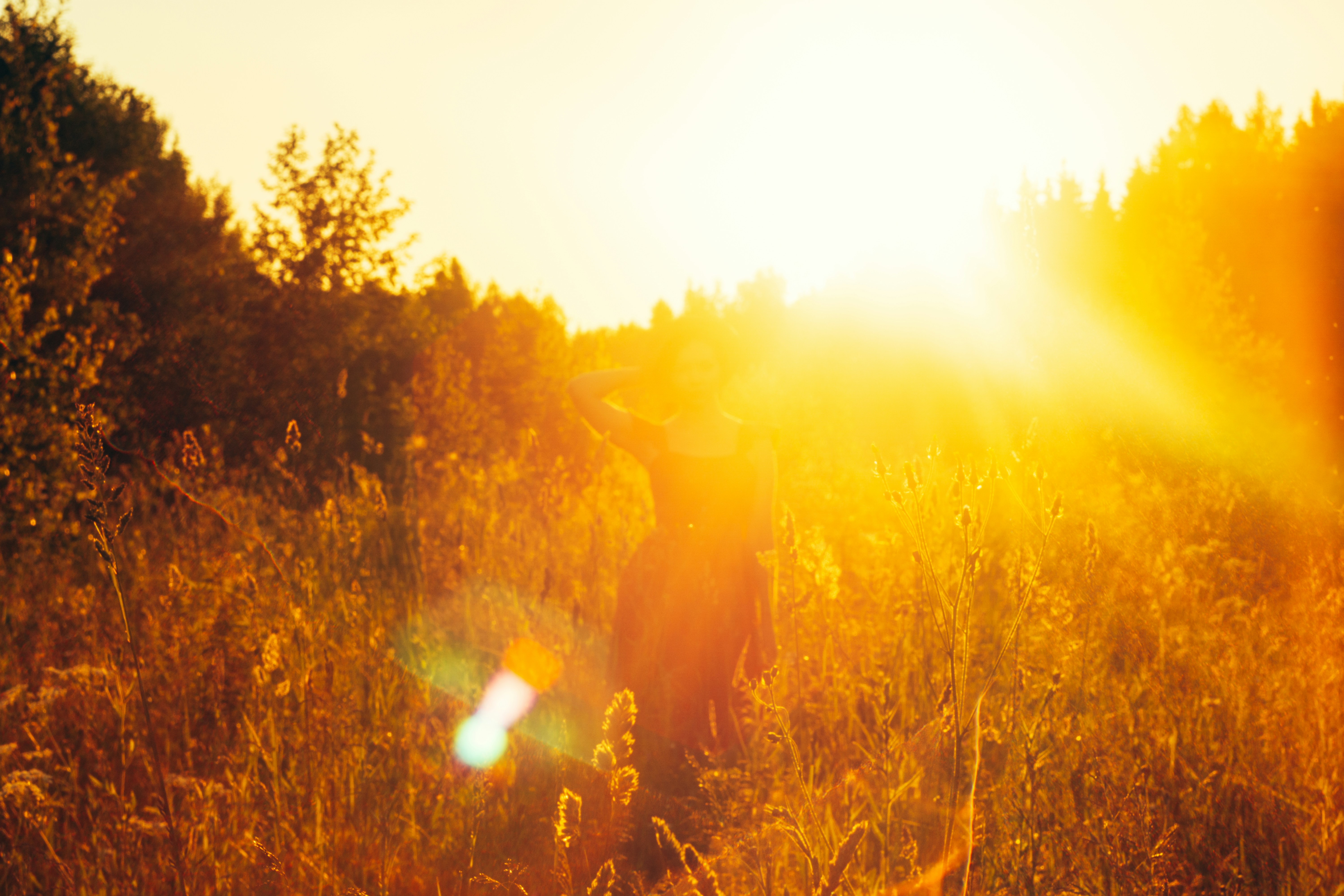 Photo by staritsyn_stanislav