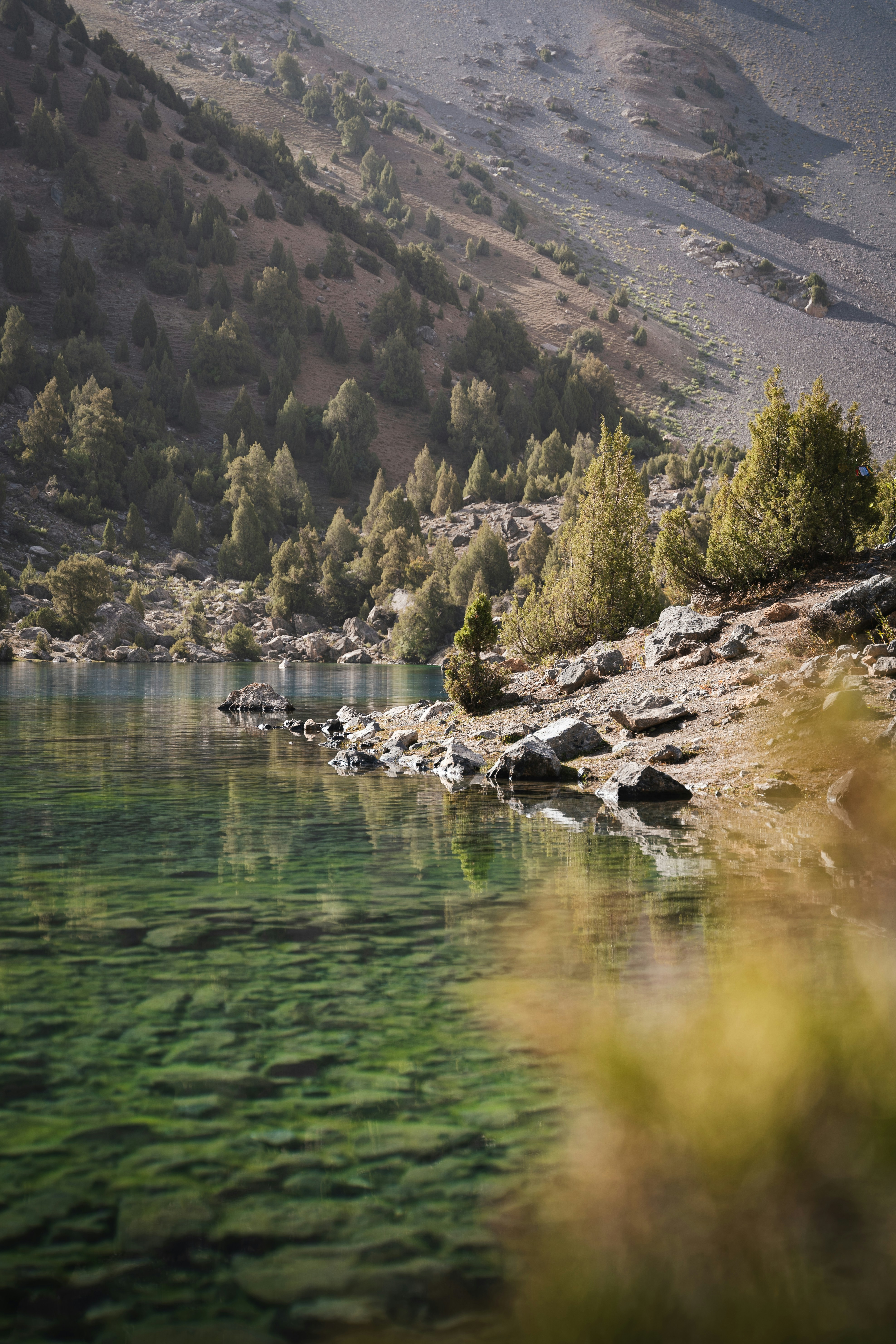 Photo by auchynnikau