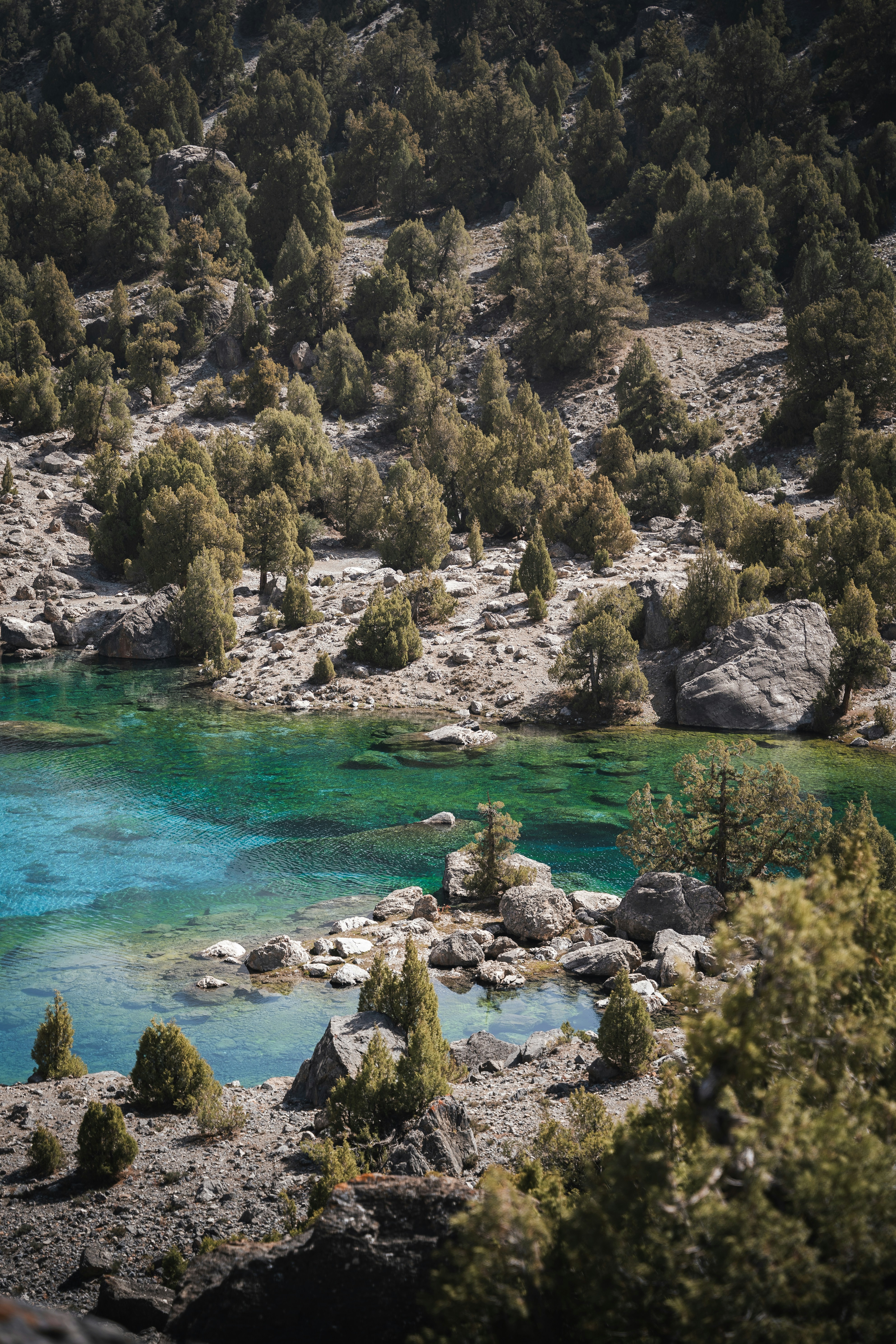 Photo by auchynnikau