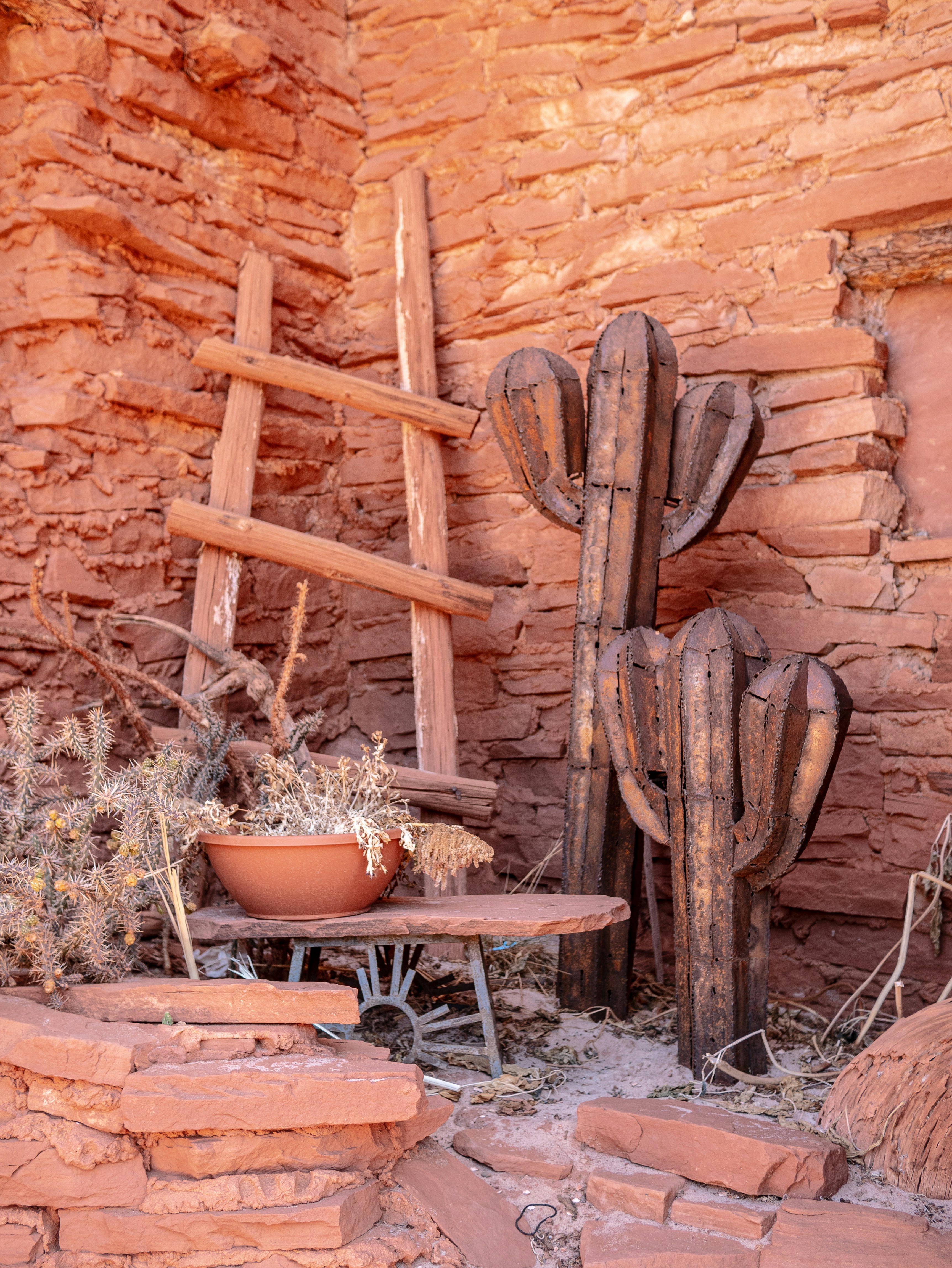 A cactus sitting on top of a wooden bench next to a stone wall