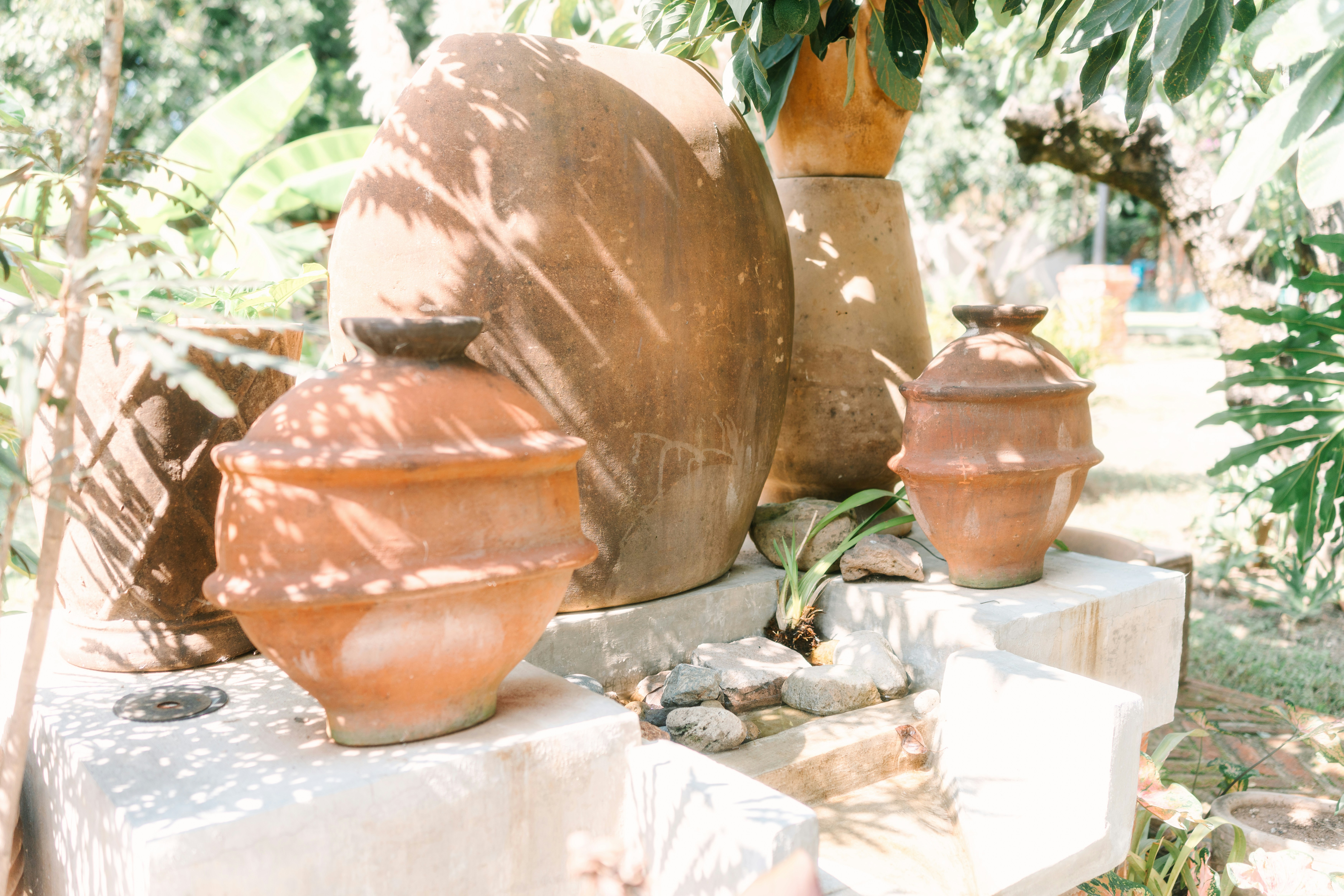 Photo by brunocervera