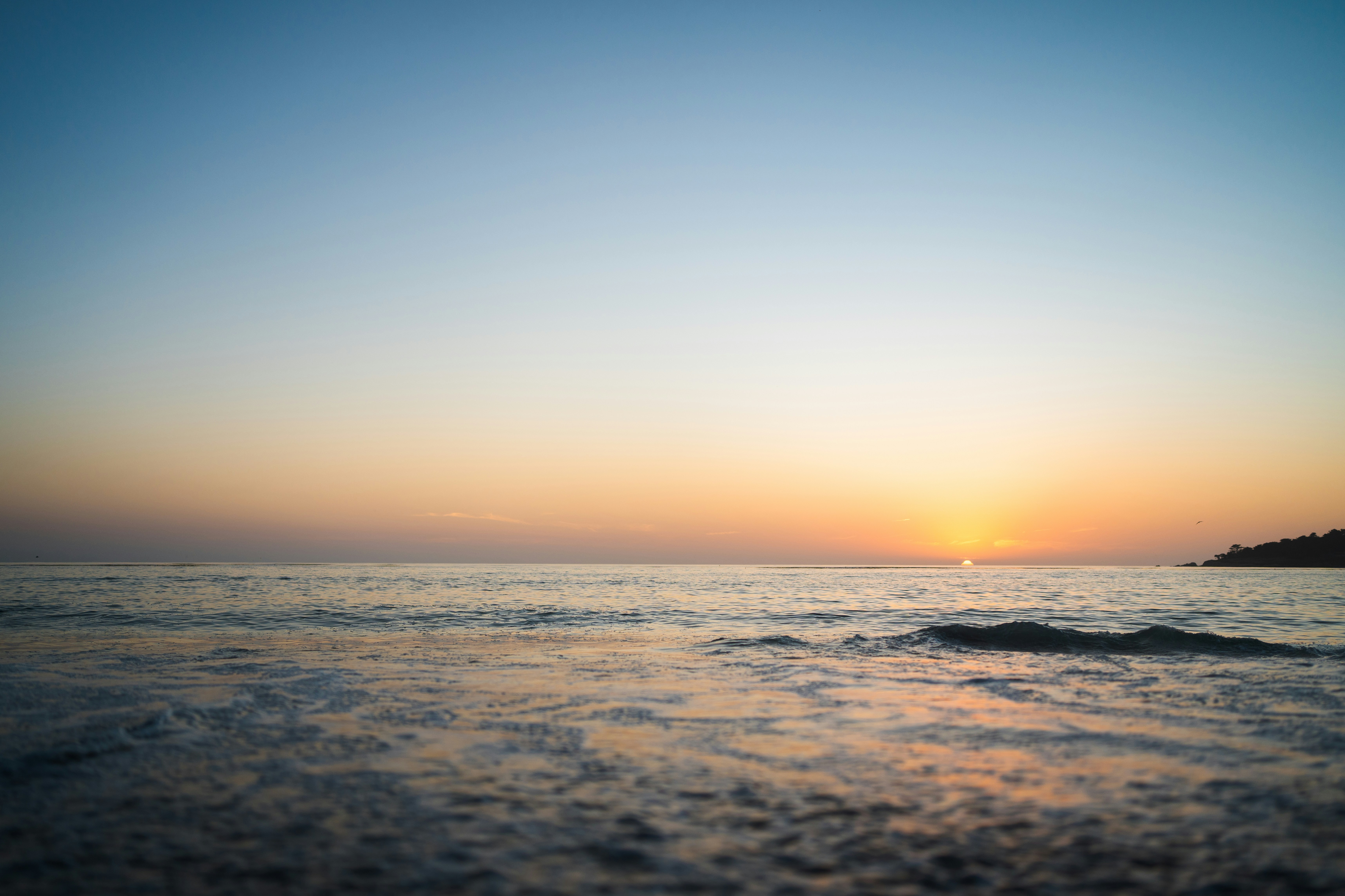 Photo by mbcarterphotography