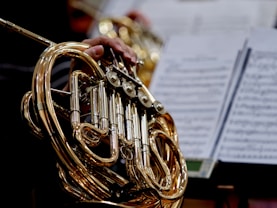 A close up of a person holding a french horn