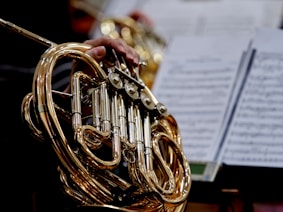 A close up of a person holding a french horn