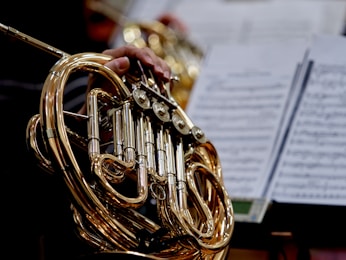 A close up of a person holding a french horn
