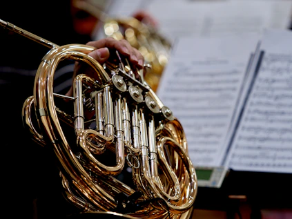 A close up of a person holding a french horn