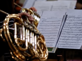 A close up of a person playing a musical instrument