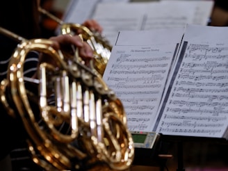 A close up of a person playing a musical instrument