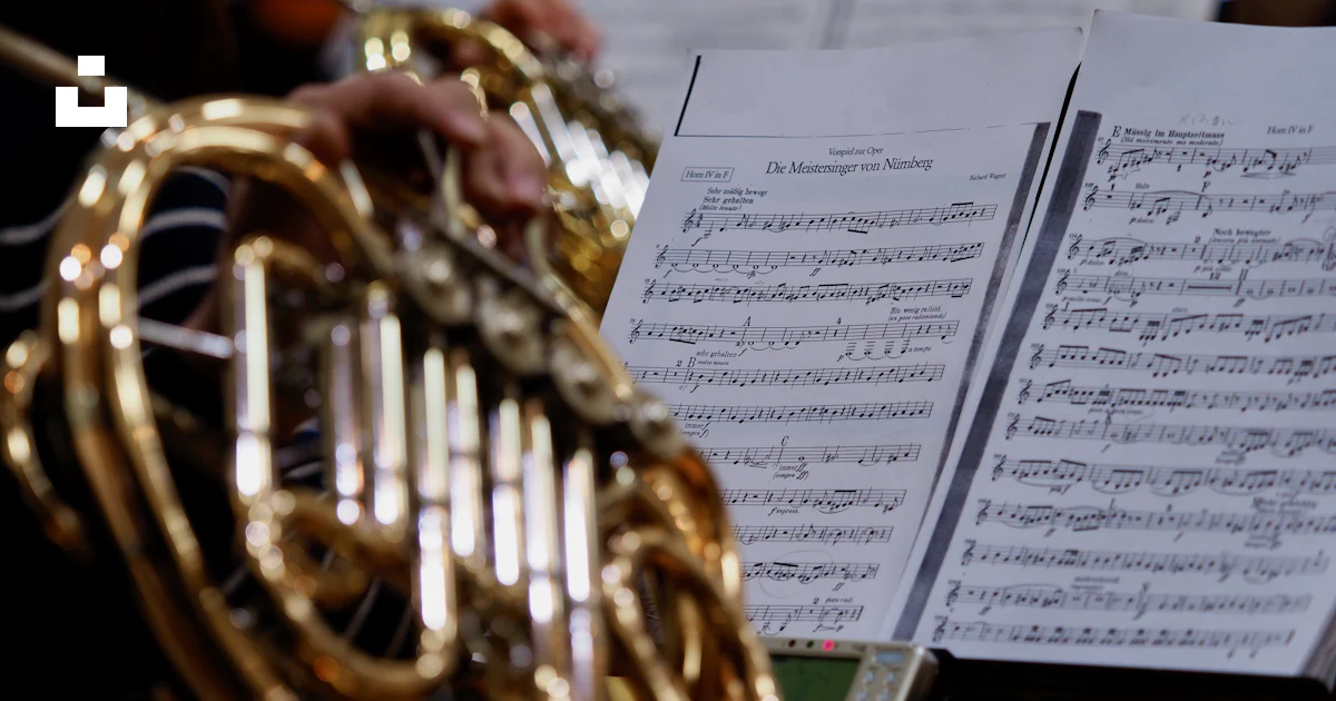 A close up of a person playing a musical instrument photo – Free Japan ...