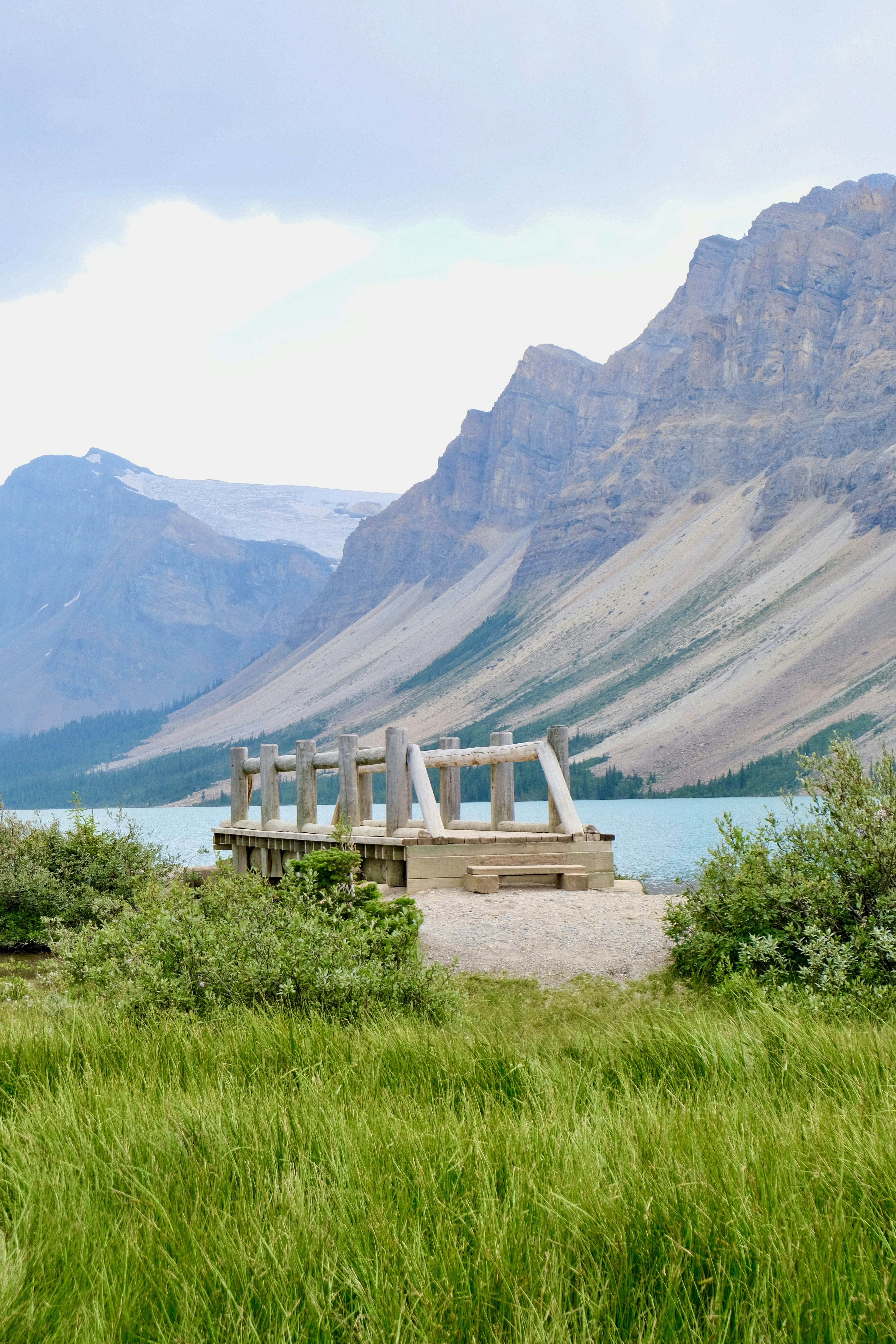 A bench sitting in the middle of a lush green field