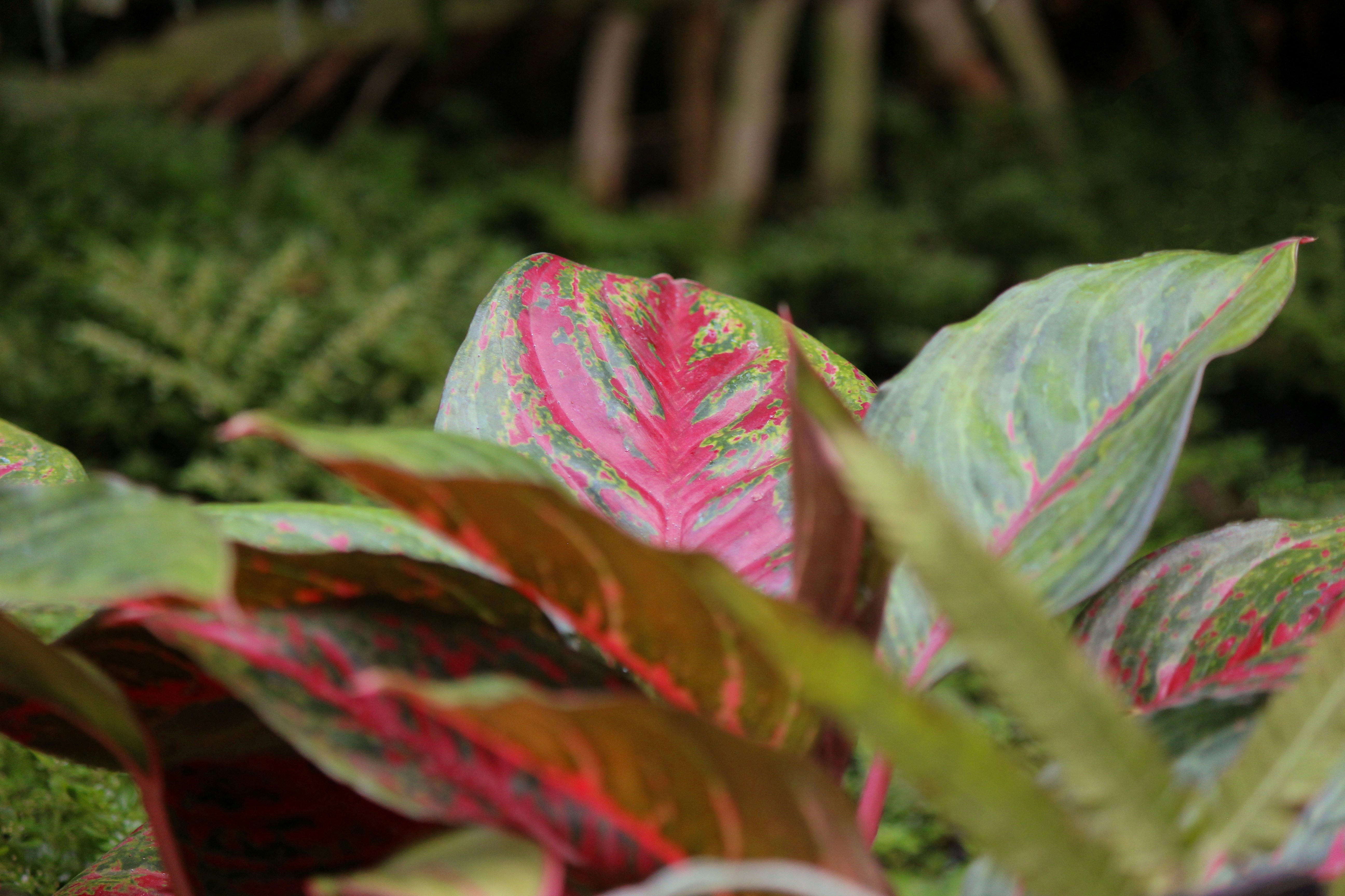 Photo by emmafunkster